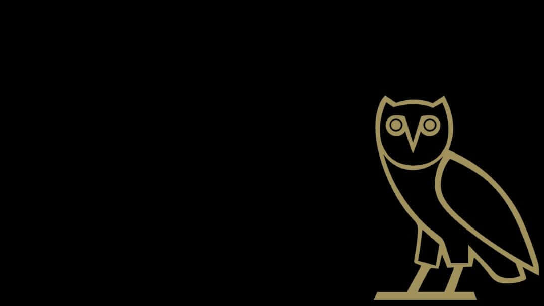 Ovoxo, owl, minimalist gold outline, SD Desktop Wallpaper