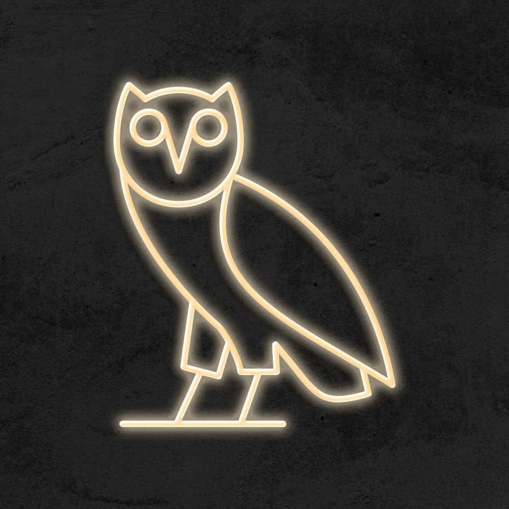 OVOXO, neon outline, owl, SD Desktop Wallpaper