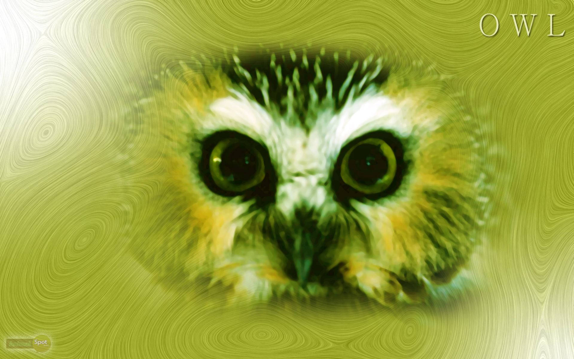 abstract yellow owl face, owl, swirling green background, Full HD Desktop Wallpaper