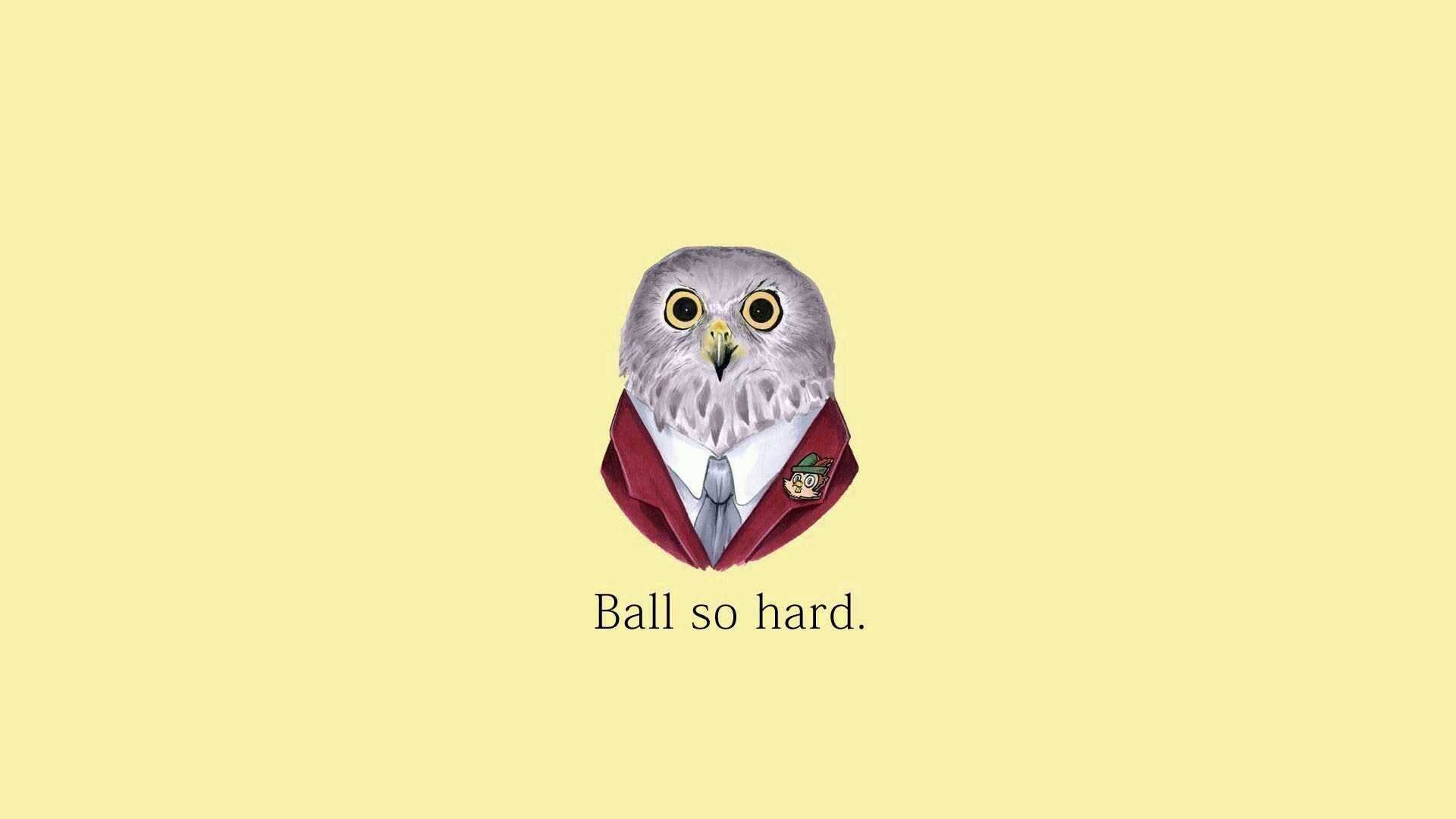 owl, red suit and tie, badge, Full HD Desktop Wallpaper