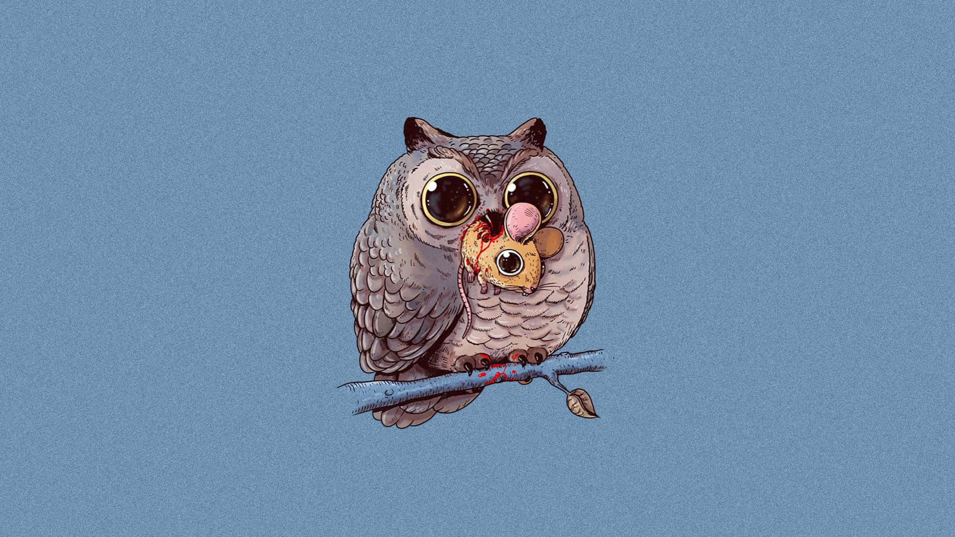 Inadequate Owl, owl, big eyes, Full HD Desktop Wallpaper