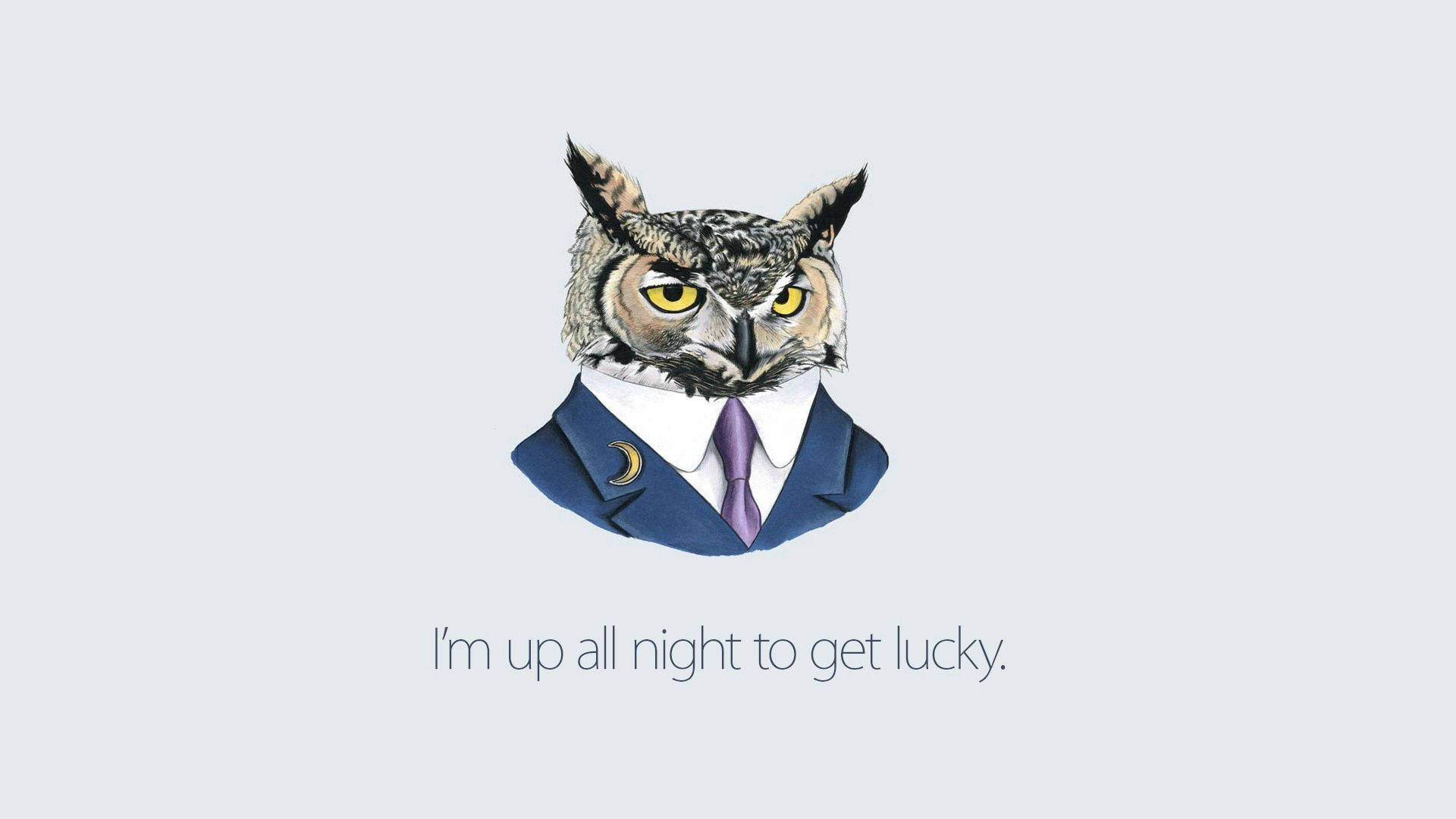owl, blue suit, purple tie, Full HD Desktop Wallpaper