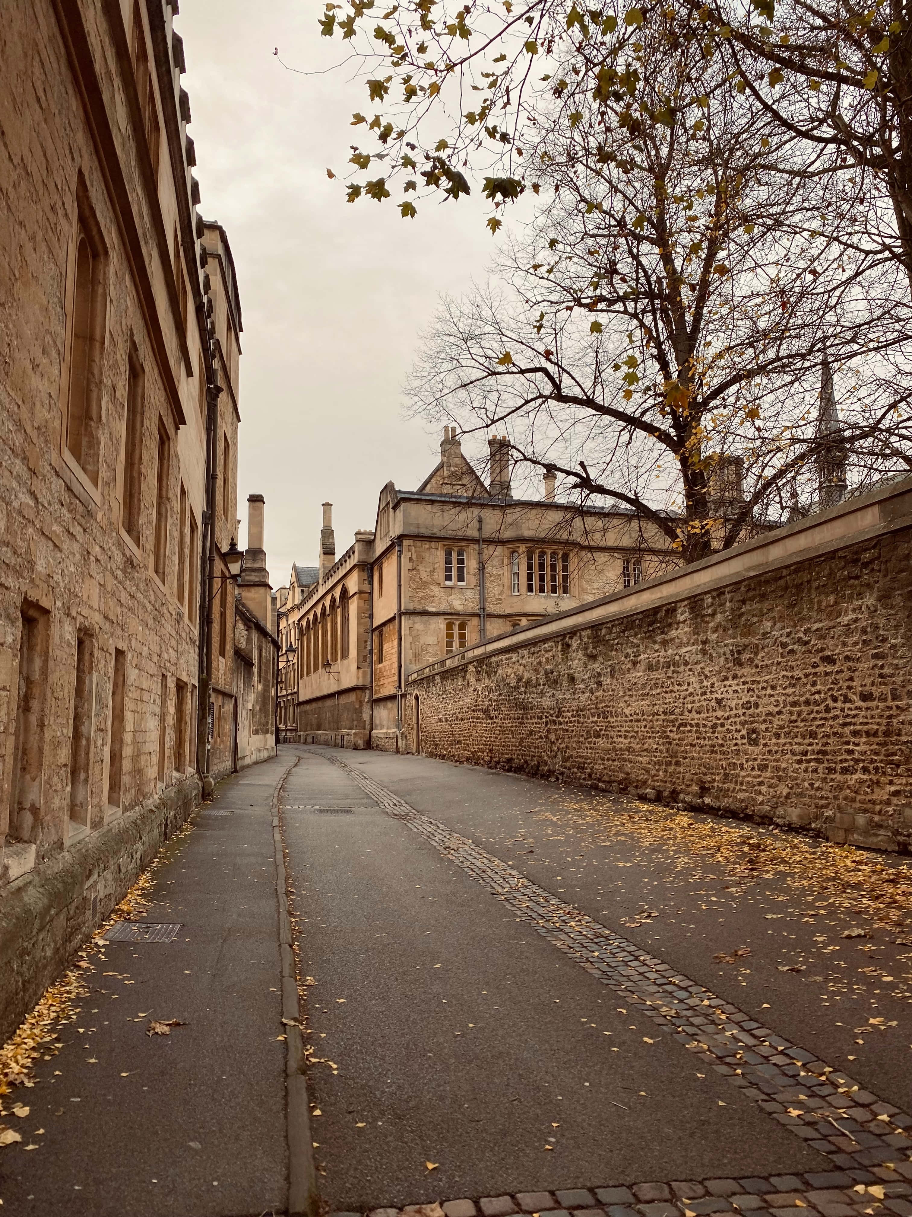 Oxford University, courtyard, cobblestone alleyway, 4K Phone Wallpaper