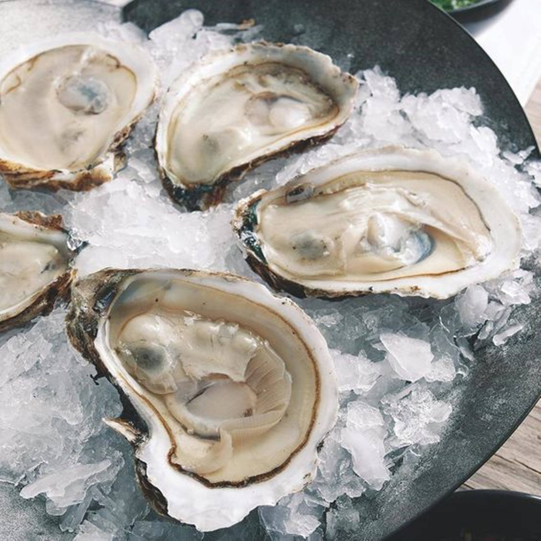 half-shelled oysters, crushed ice, dark bowl, HD Desktop Wallpaper