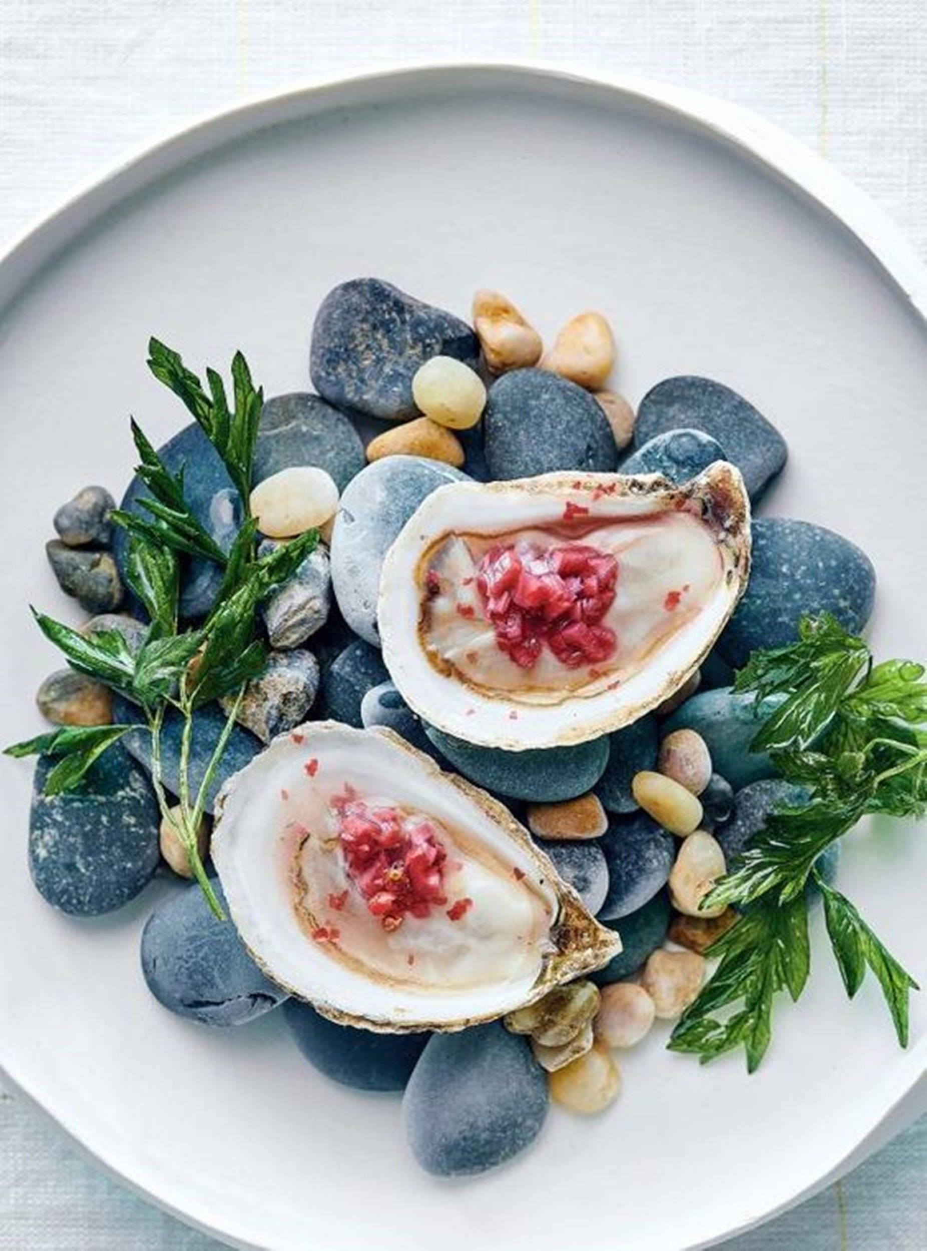 white oysters, crimson granita, smooth blue and beige stones, Full HD Phone Wallpaper