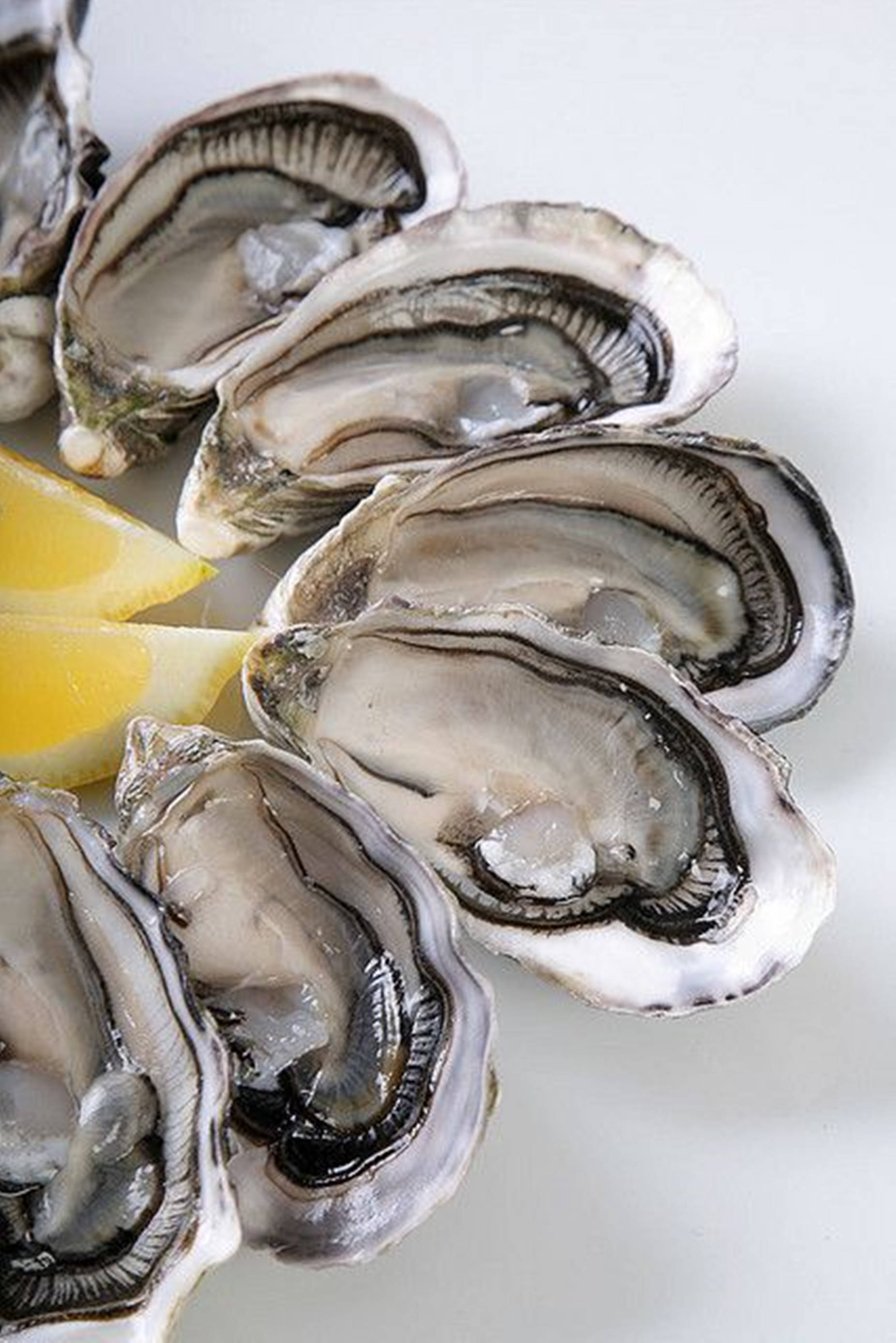 oyster, lemon, white plate, 2K Phone Wallpaper