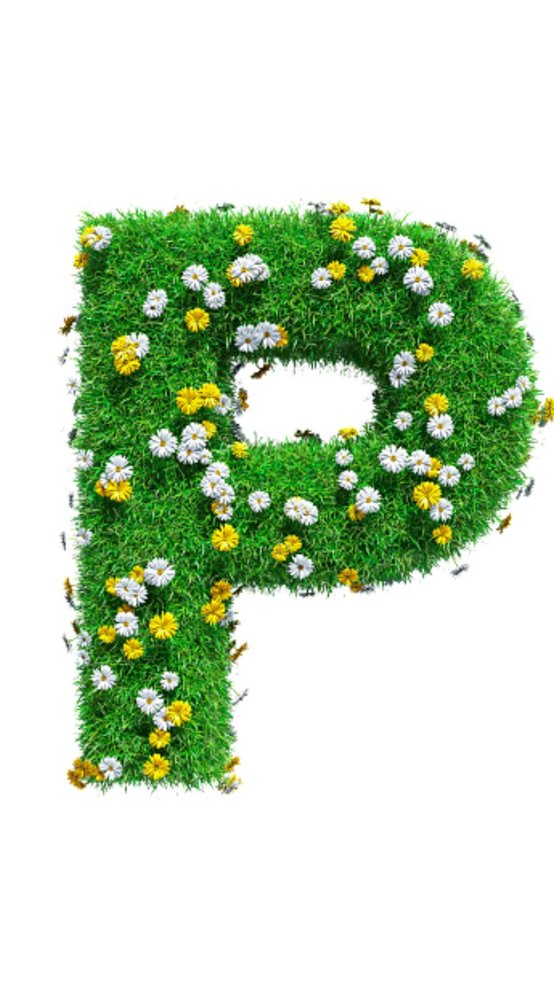 Letter P, green, spring, Full HD Phone Wallpaper