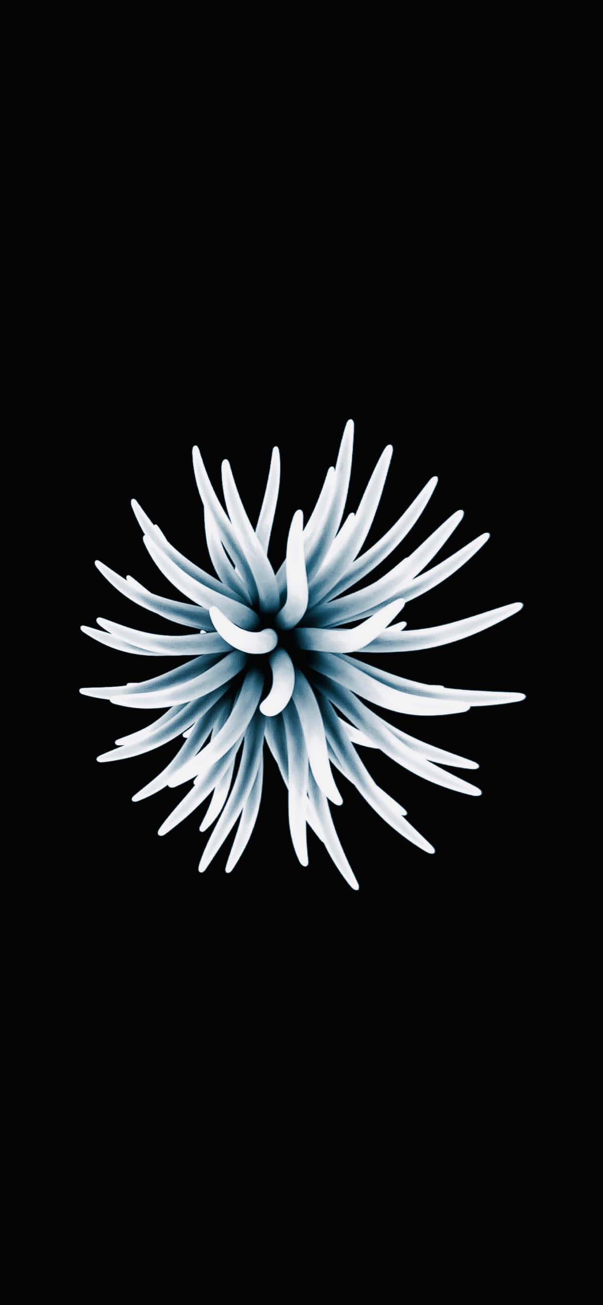 Pacific Blue, abstract floral design, anemone, 2K Phone Wallpaper