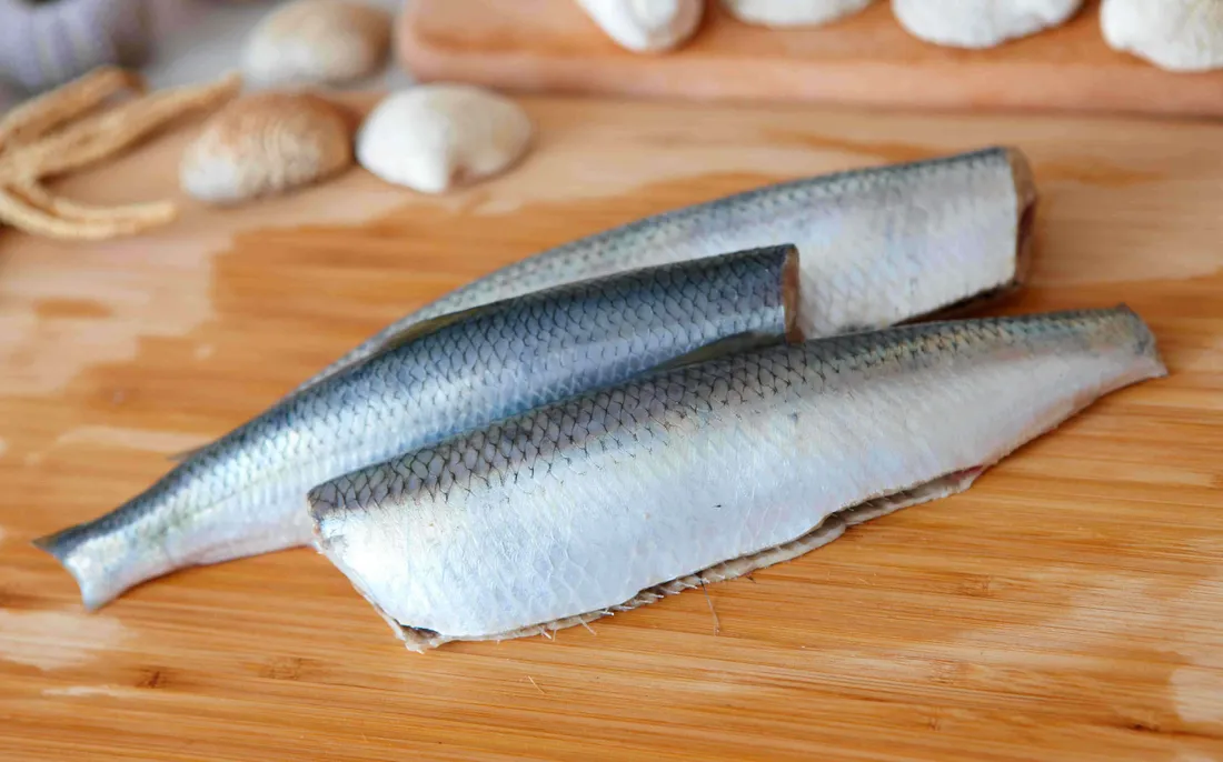 Pacific Saury