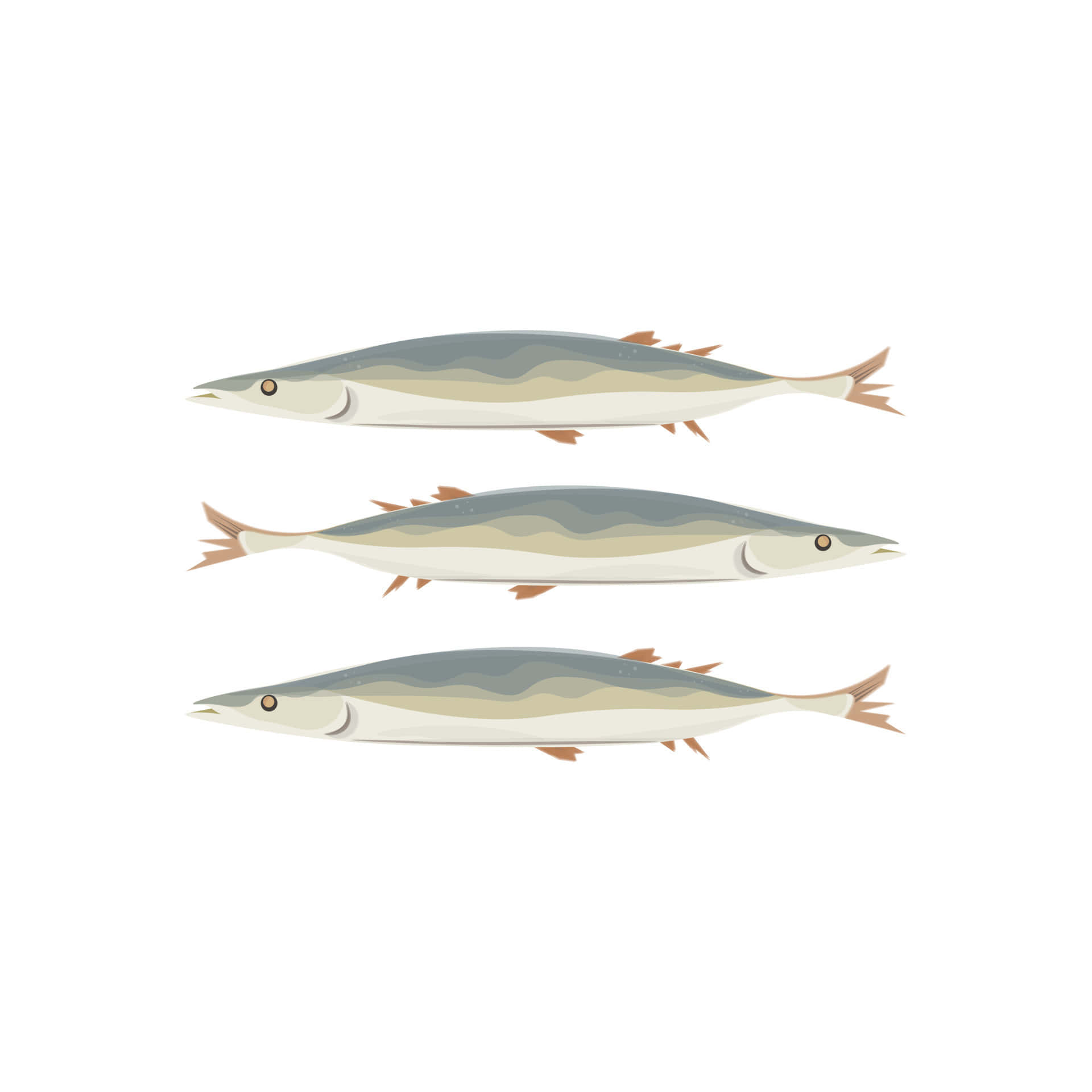Pacific Saury, stylized swordfish, flat design, Full HD Desktop Wallpaper