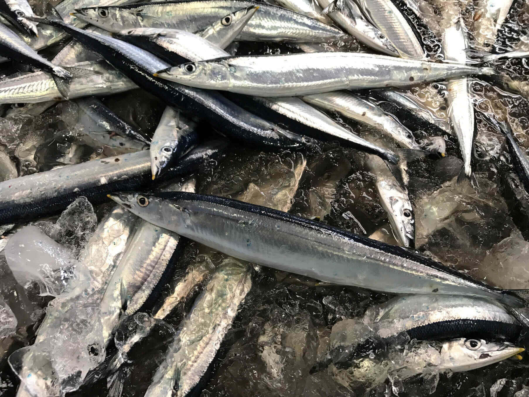 Pacific Saury, crushed ice, seafood market, HD Desktop Wallpaper
