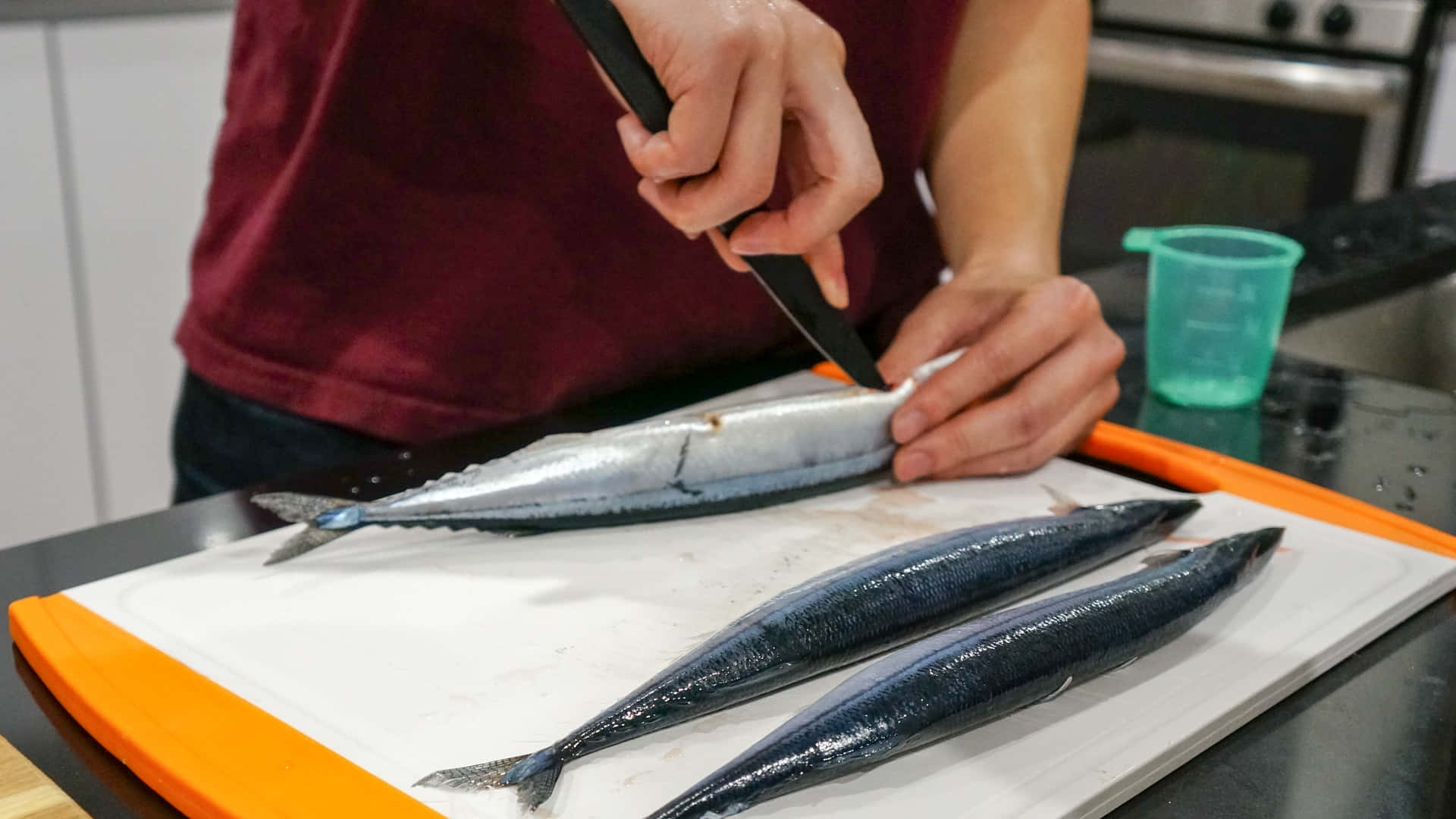 Pacific Saury, maroon shirt, shiny blue mackerel, Full HD Desktop Wallpaper