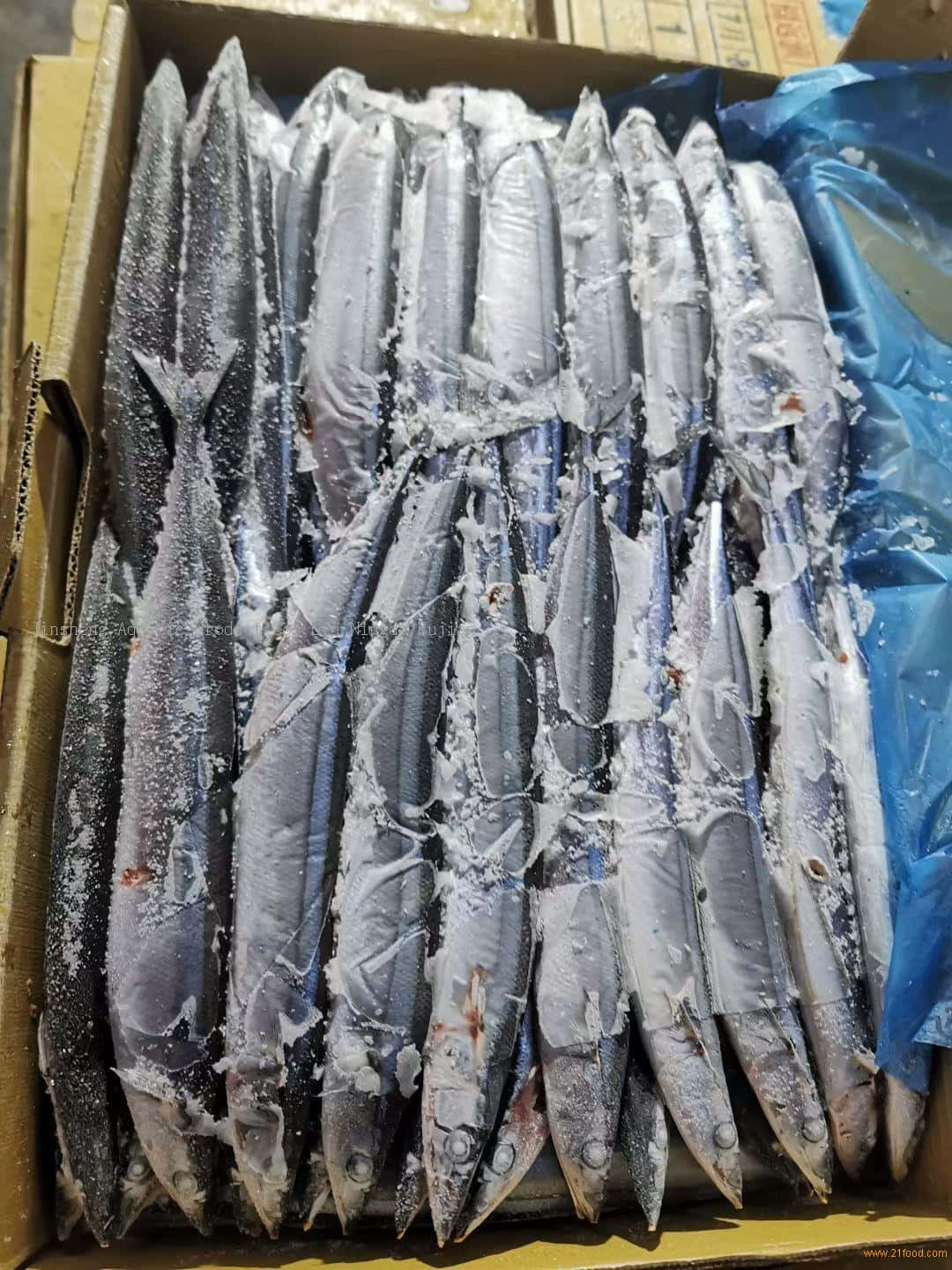 Pacific Saury, cardboard box, frozen mackerel, HD Phone Wallpaper