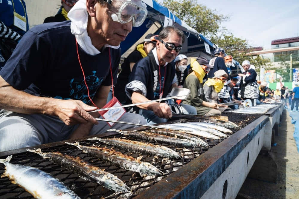 Pacific Saury, grilling festival, long mackerel, SD Desktop Wallpaper