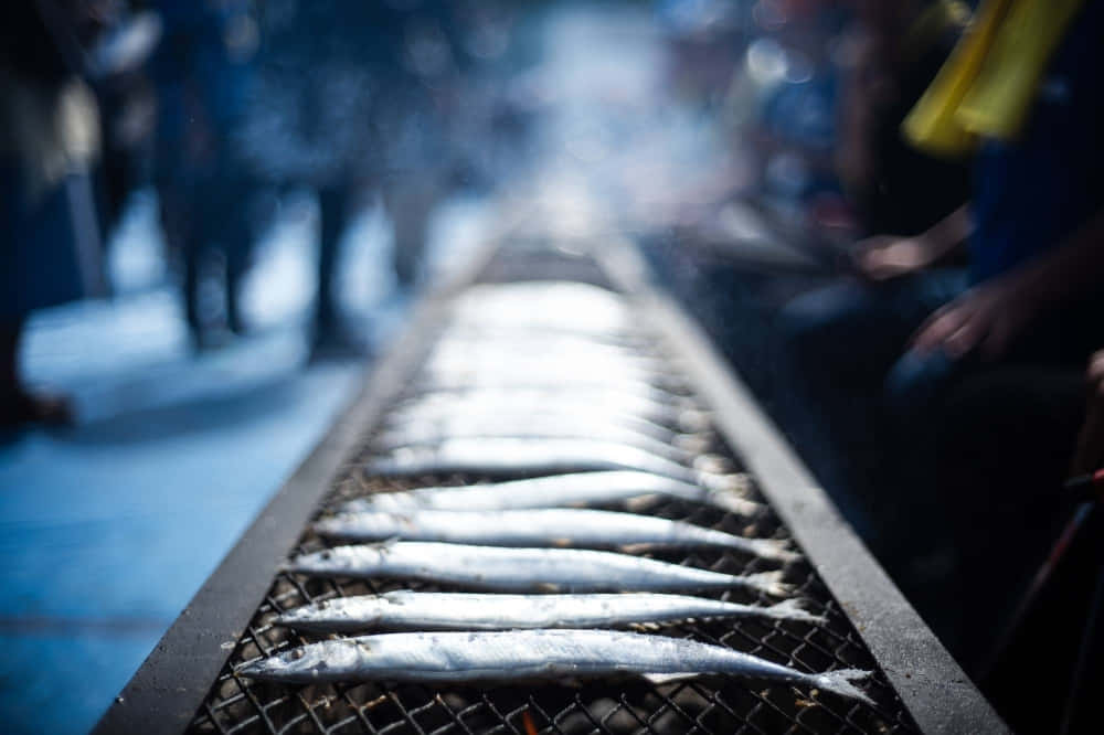 Pacific Saury, silver fish, long metal grill, SD Desktop Wallpaper