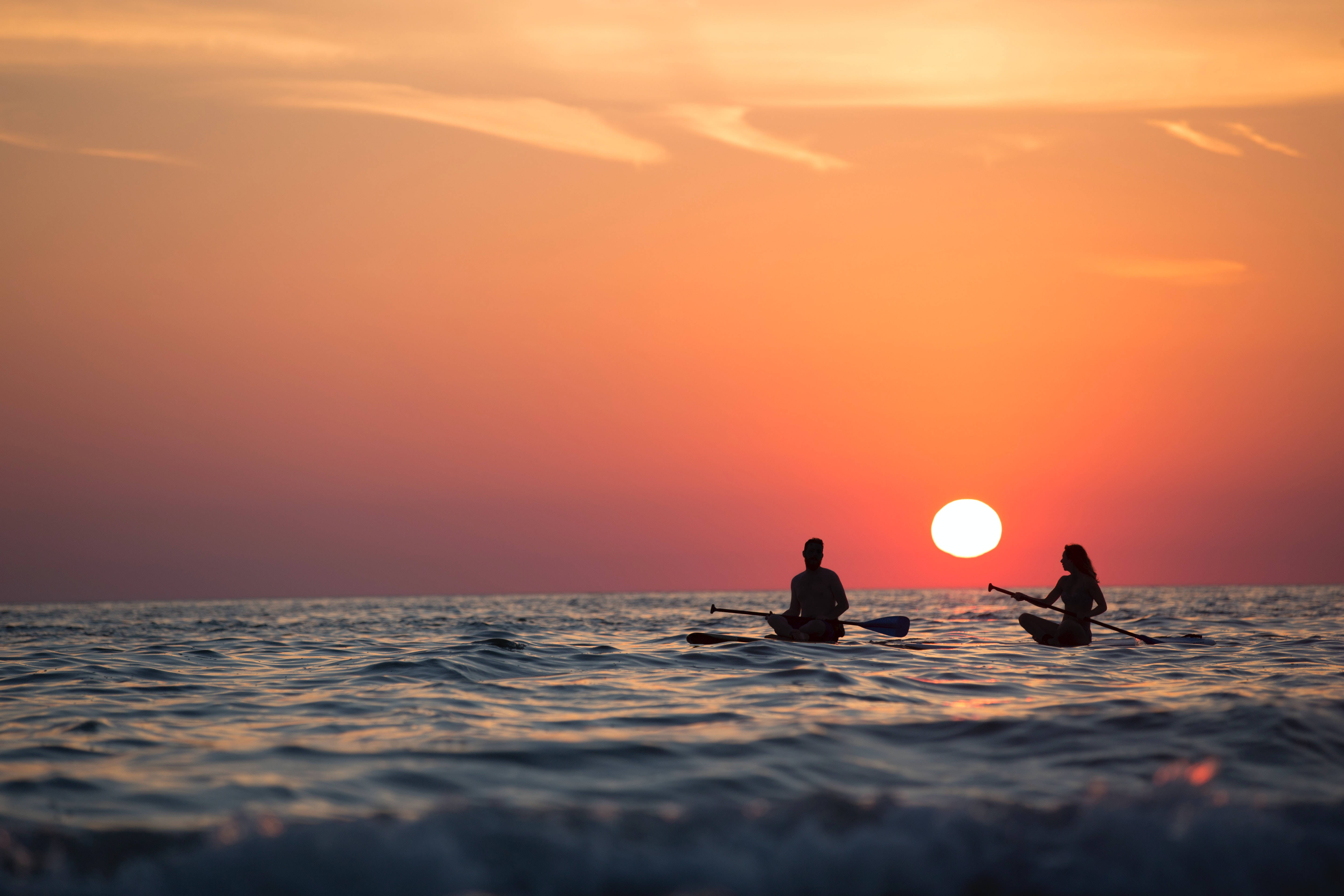 vacation sunset paddle boarding, silhouetted people, calm ocean waters, 5K Desktop Wallpaper
