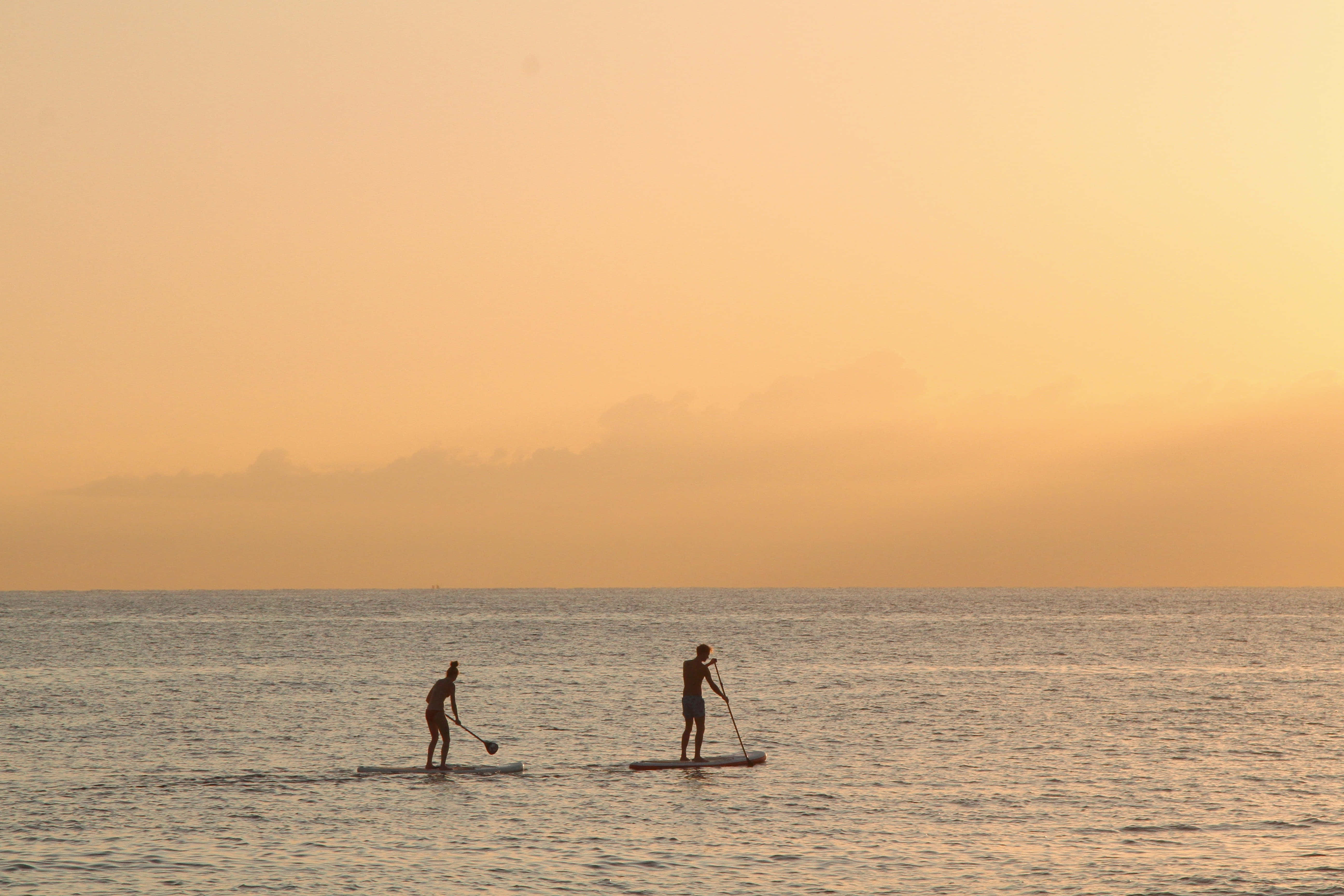 paddleboarders, calm ocean waters, warm golden sunset sky, 5K Desktop Wallpaper