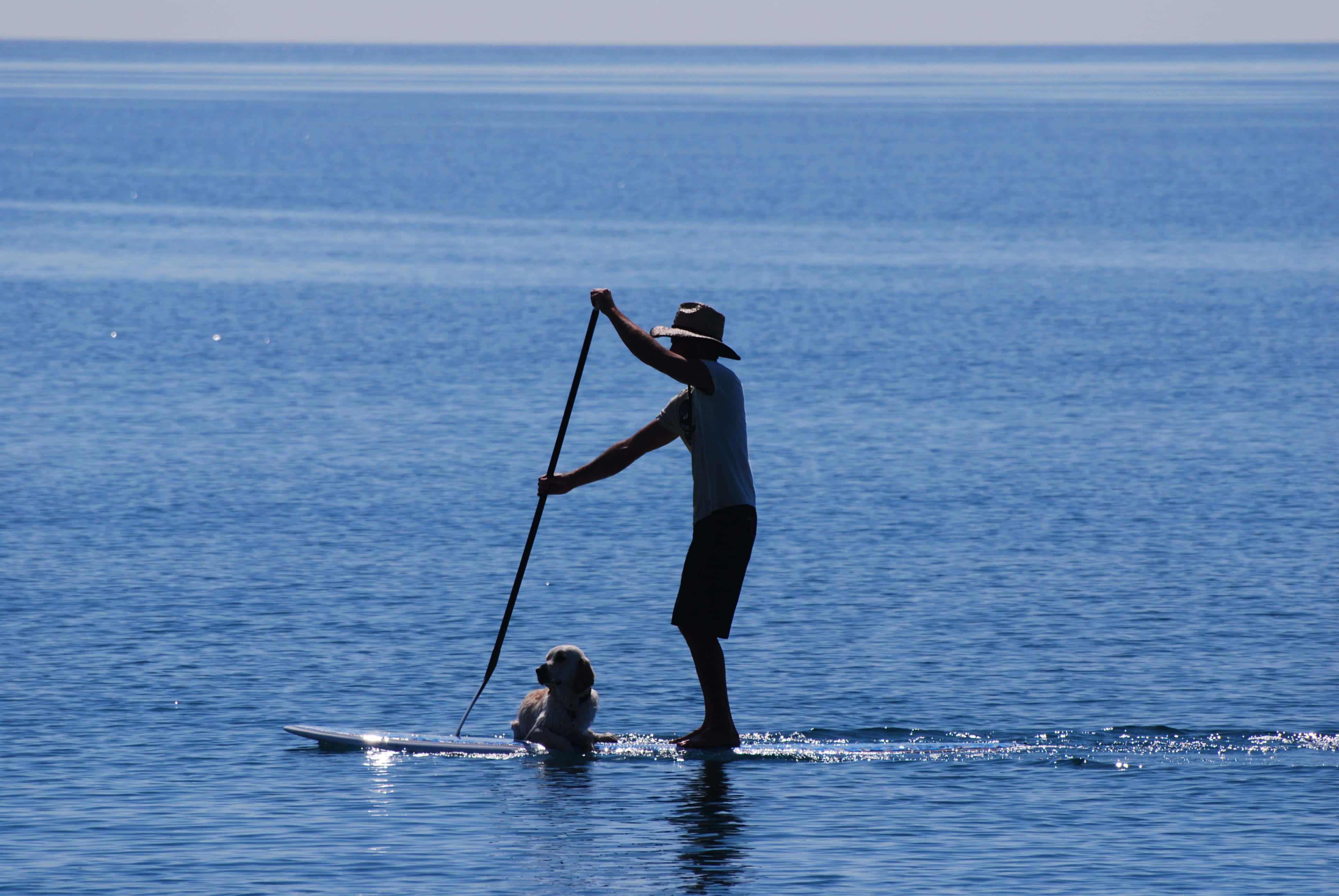 paddleboarder, calm lake, beautiful sunset, 4K Desktop Wallpaper