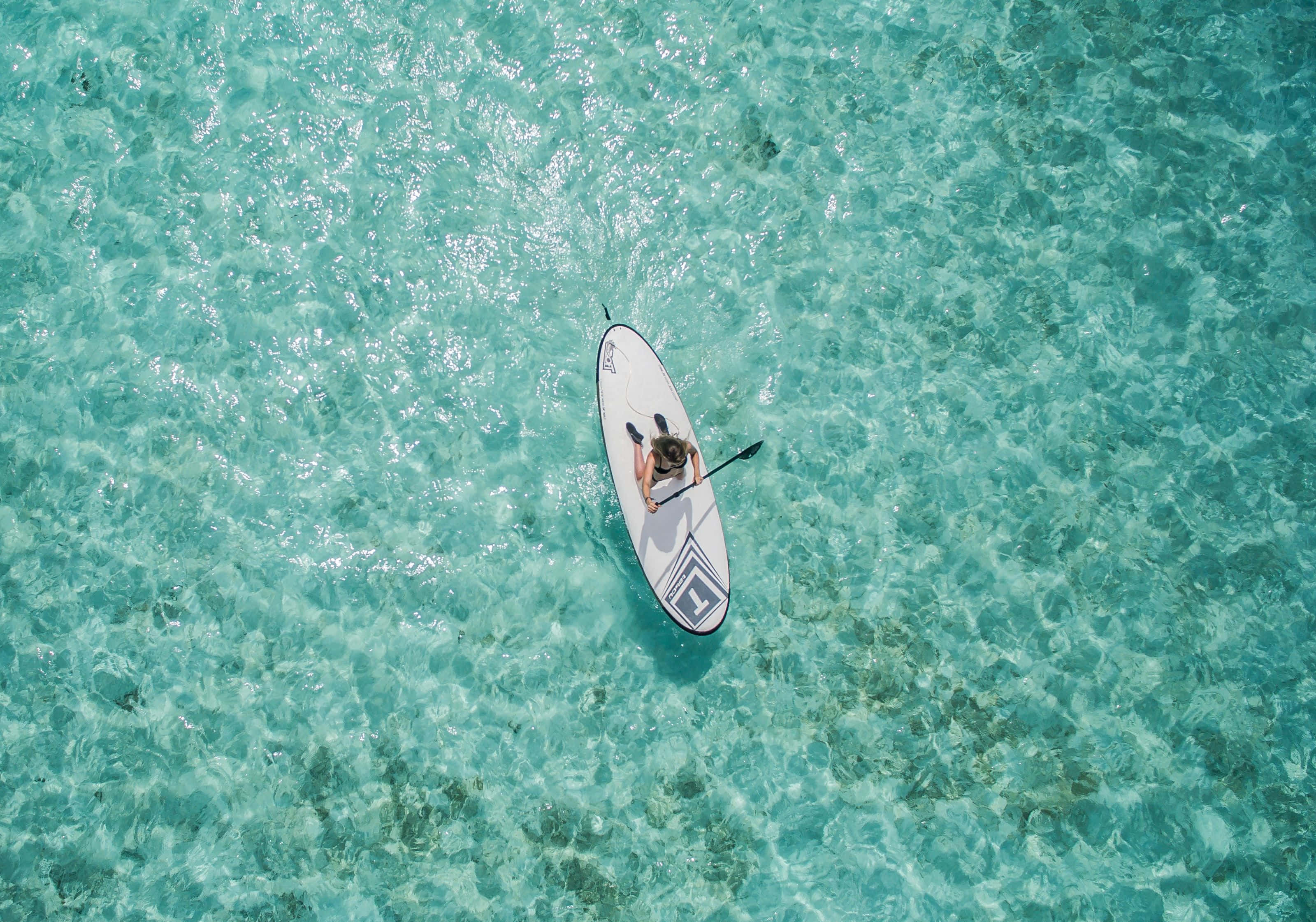 paddleboarding, white surfboard, turquoise water, 2K Desktop Wallpaper