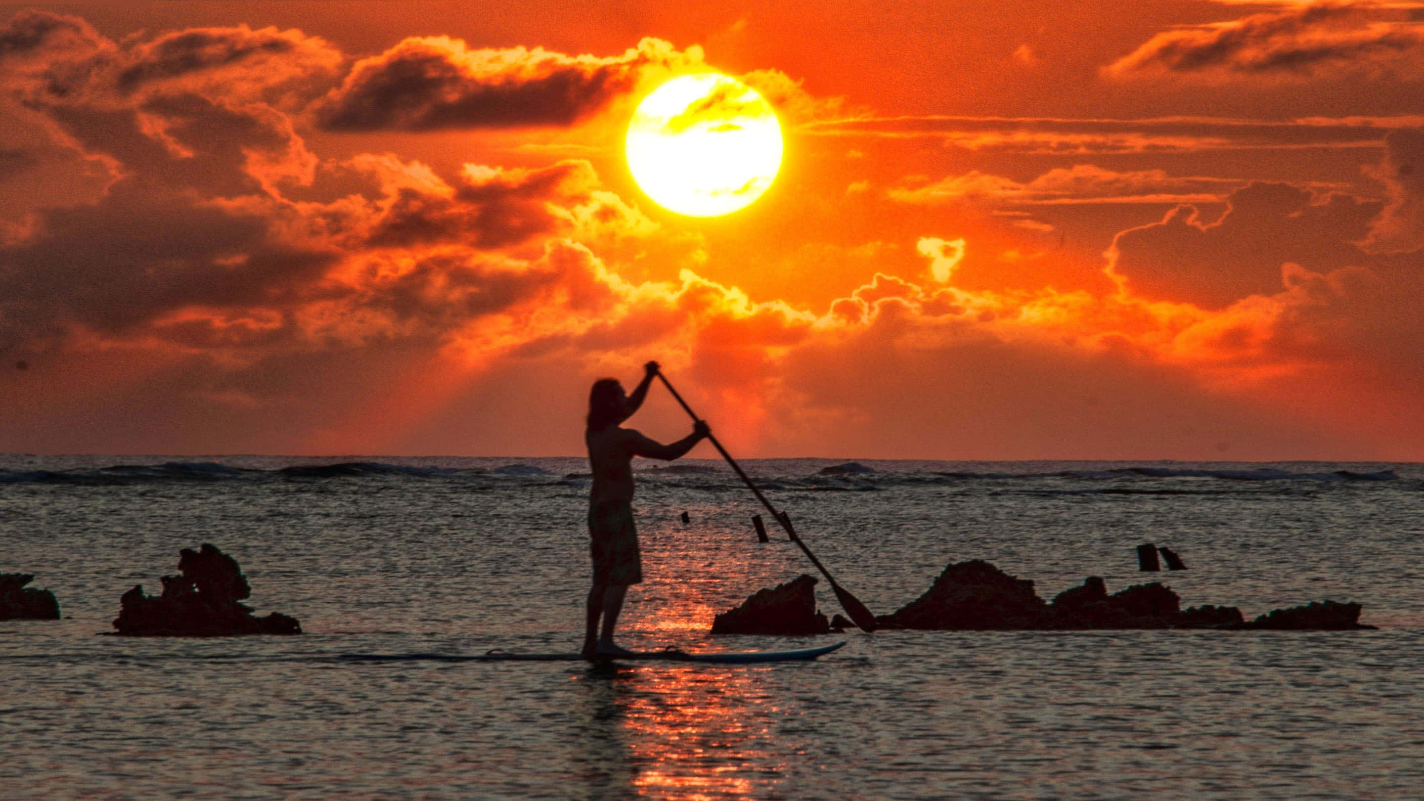 paddleboarder, fiery orange sunset, calm ocean waters, 2K Desktop Wallpaper