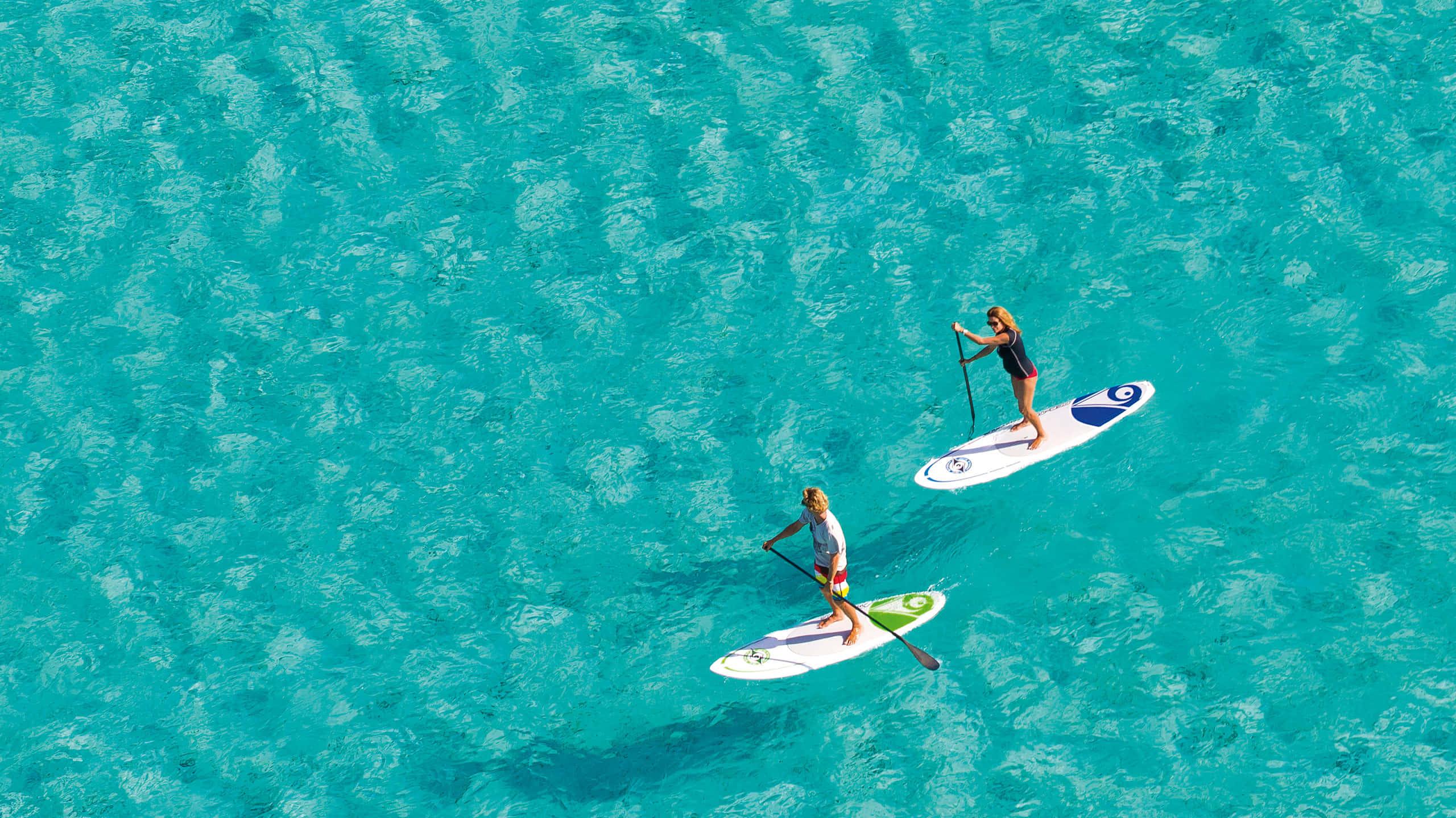 paddleboarding, tranquil lake, summer sunset, 2K Desktop Wallpaper