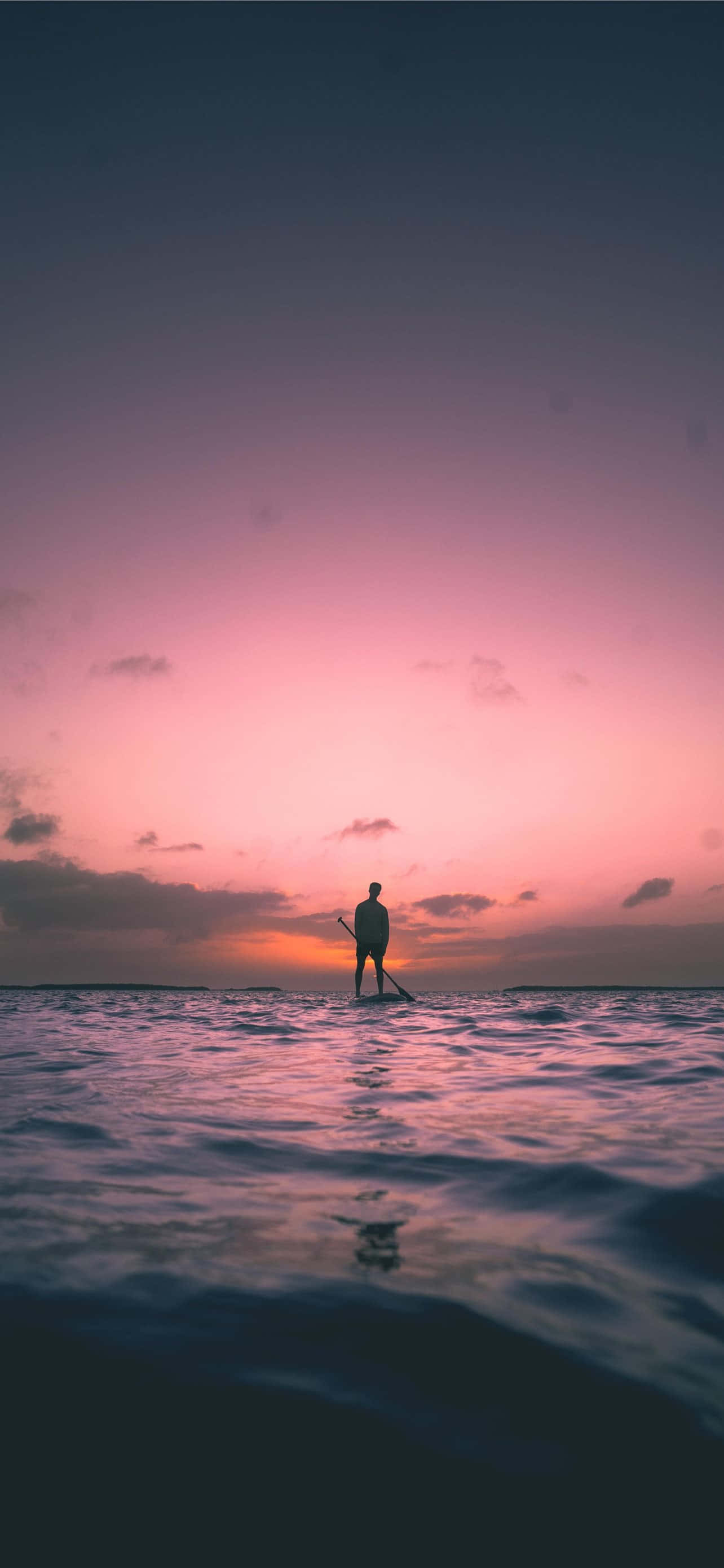 paddleboarding, sunset, calm ocean waters, 2K Phone Wallpaper