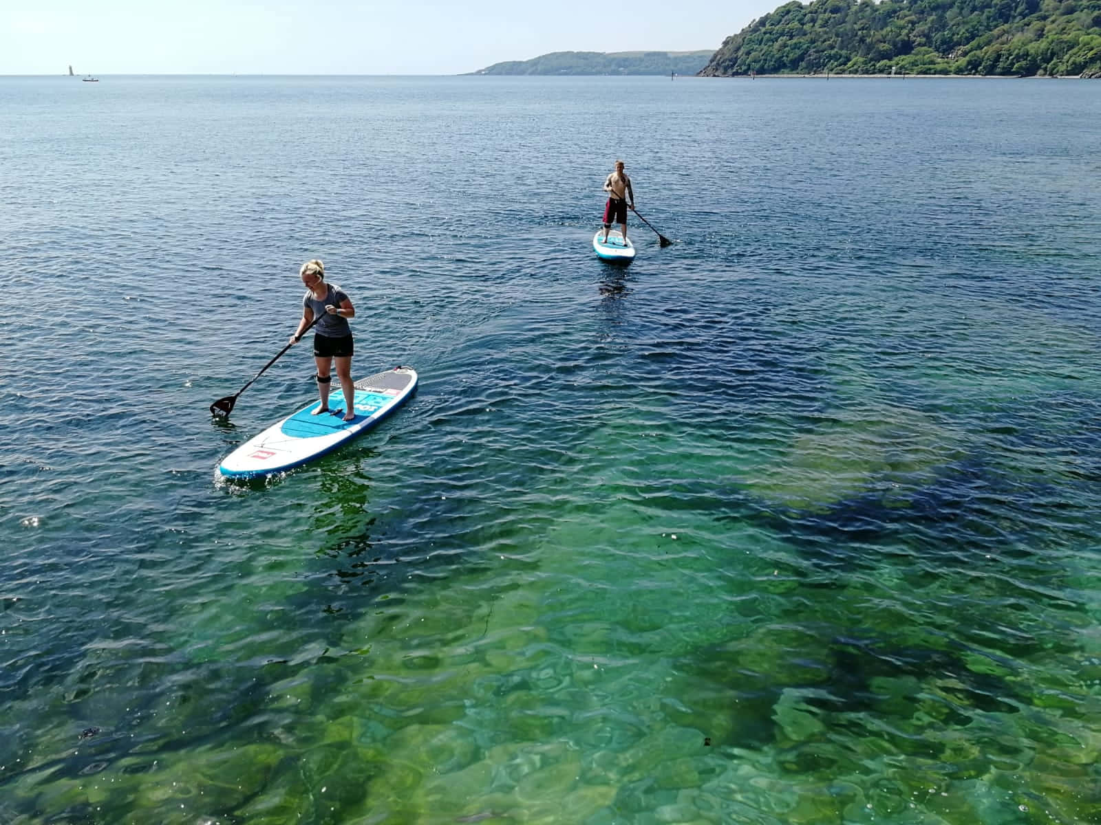 paddleboarding, calm turquoise waters, forested coastline, HD Desktop Wallpaper