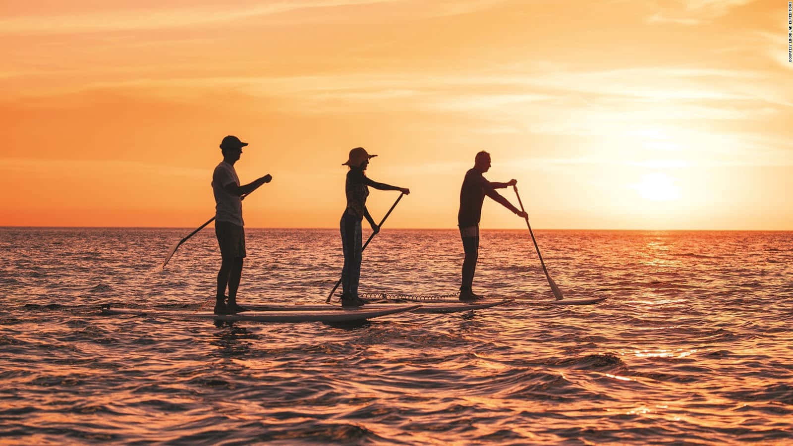 sunset, paddleboarding, calm water, HD Desktop Wallpaper