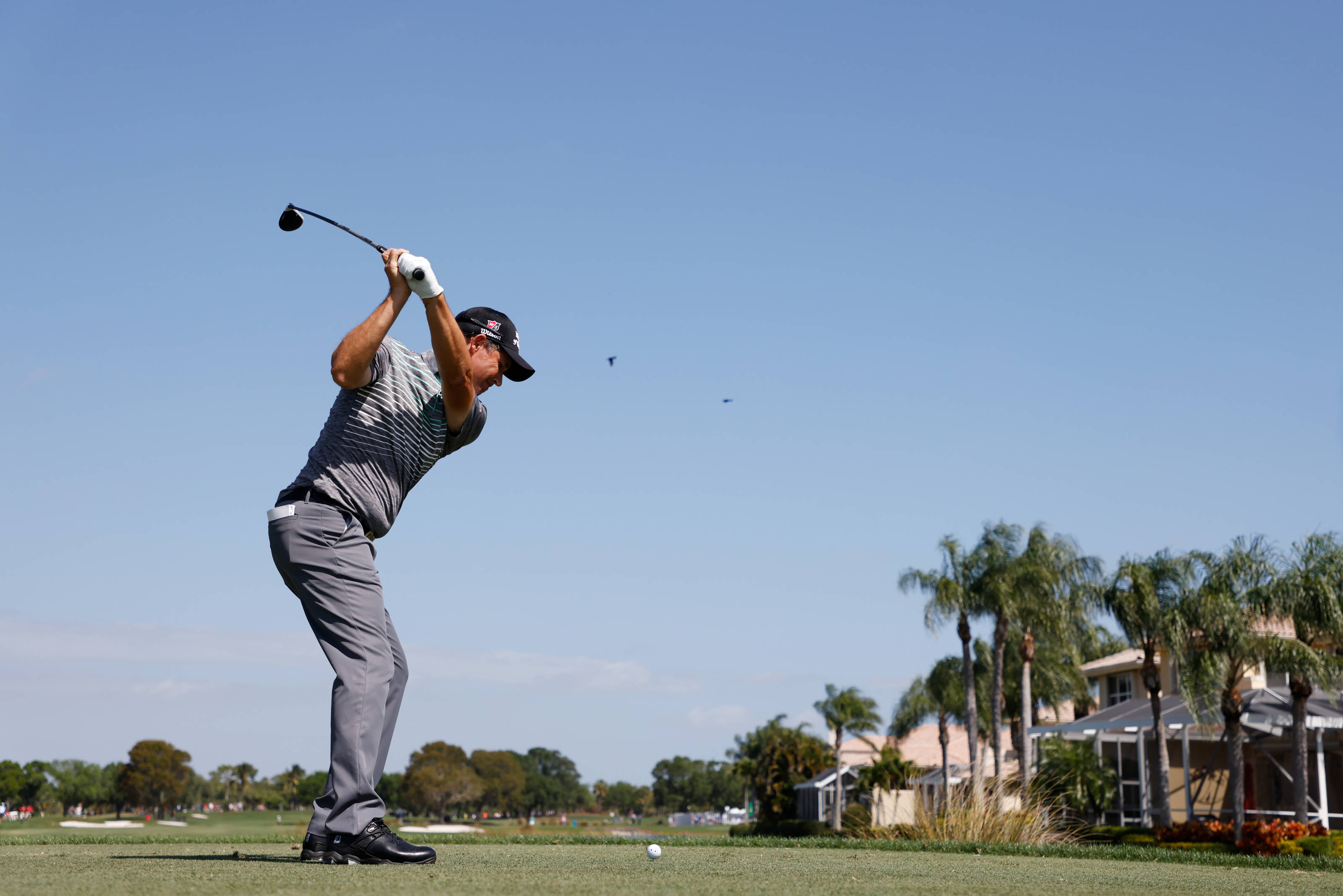 Padraig Harrington, mid-swing shot, sunny course, 2K Desktop Wallpaper