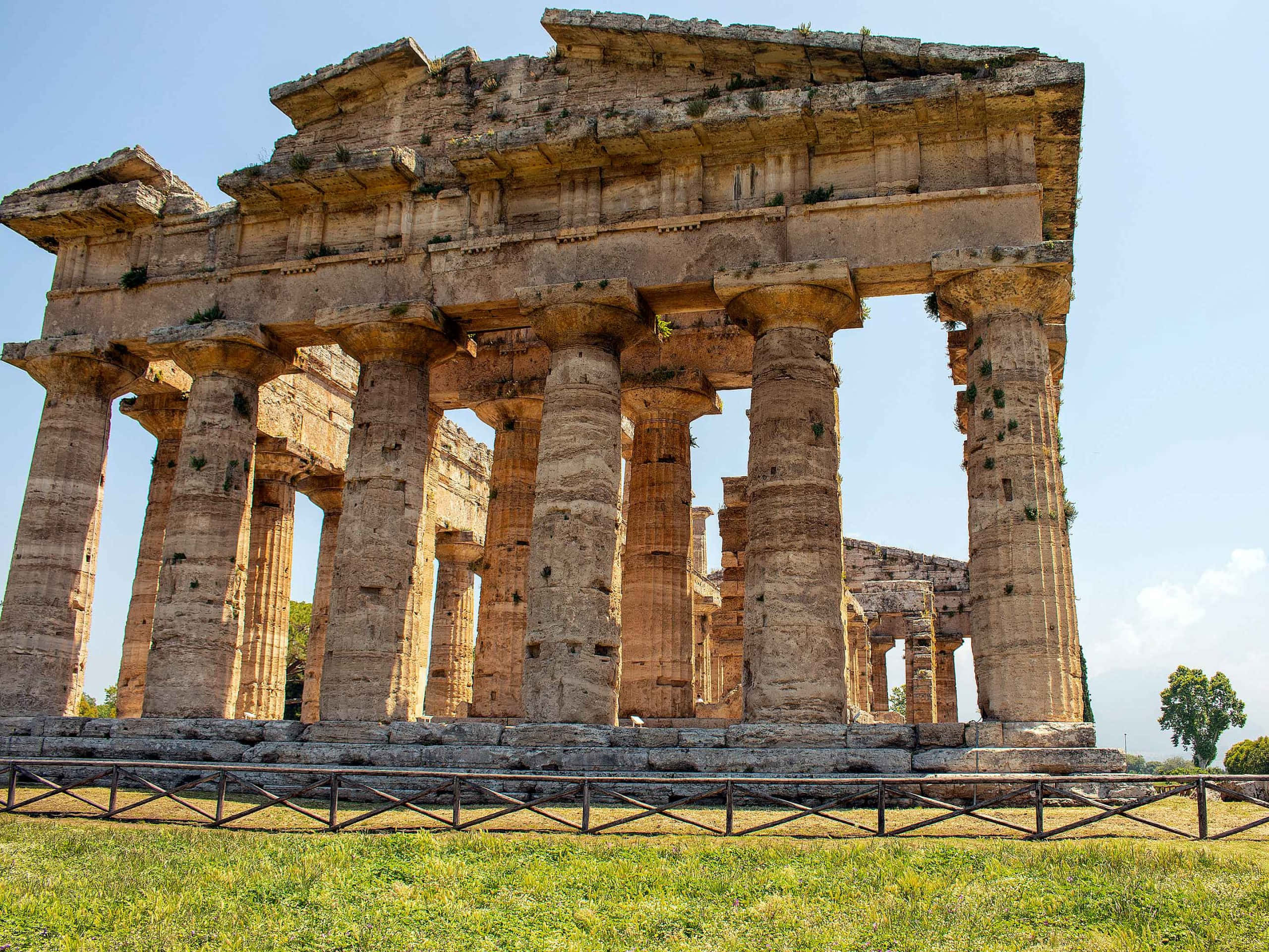 Paestum, beige columns, ancient stone temple ruins, 2K Desktop Wallpaper