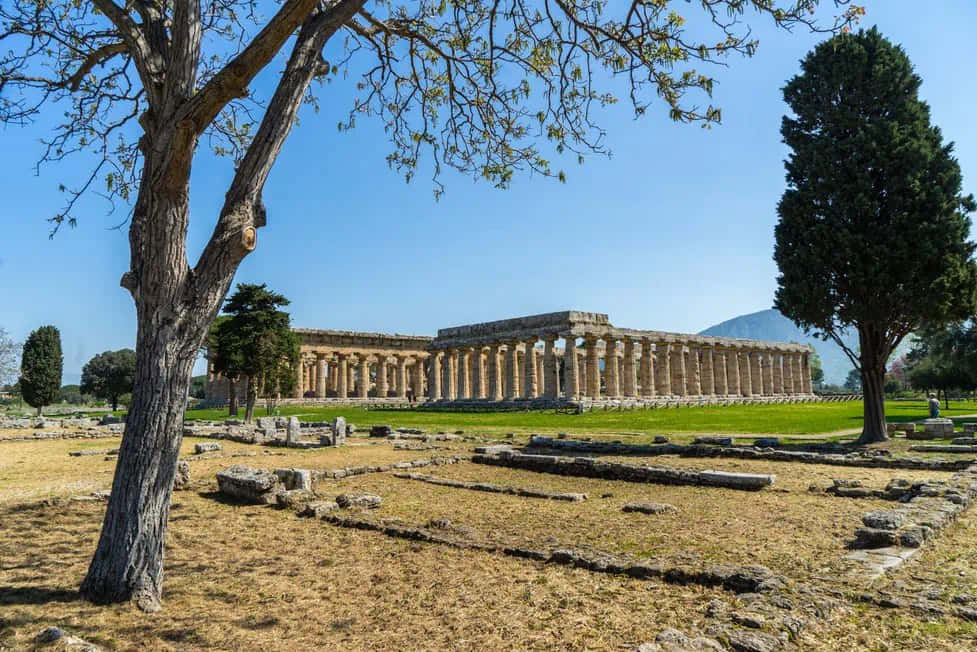Paestum, ancient stone temple ruins, tall columns, SD Desktop Wallpaper