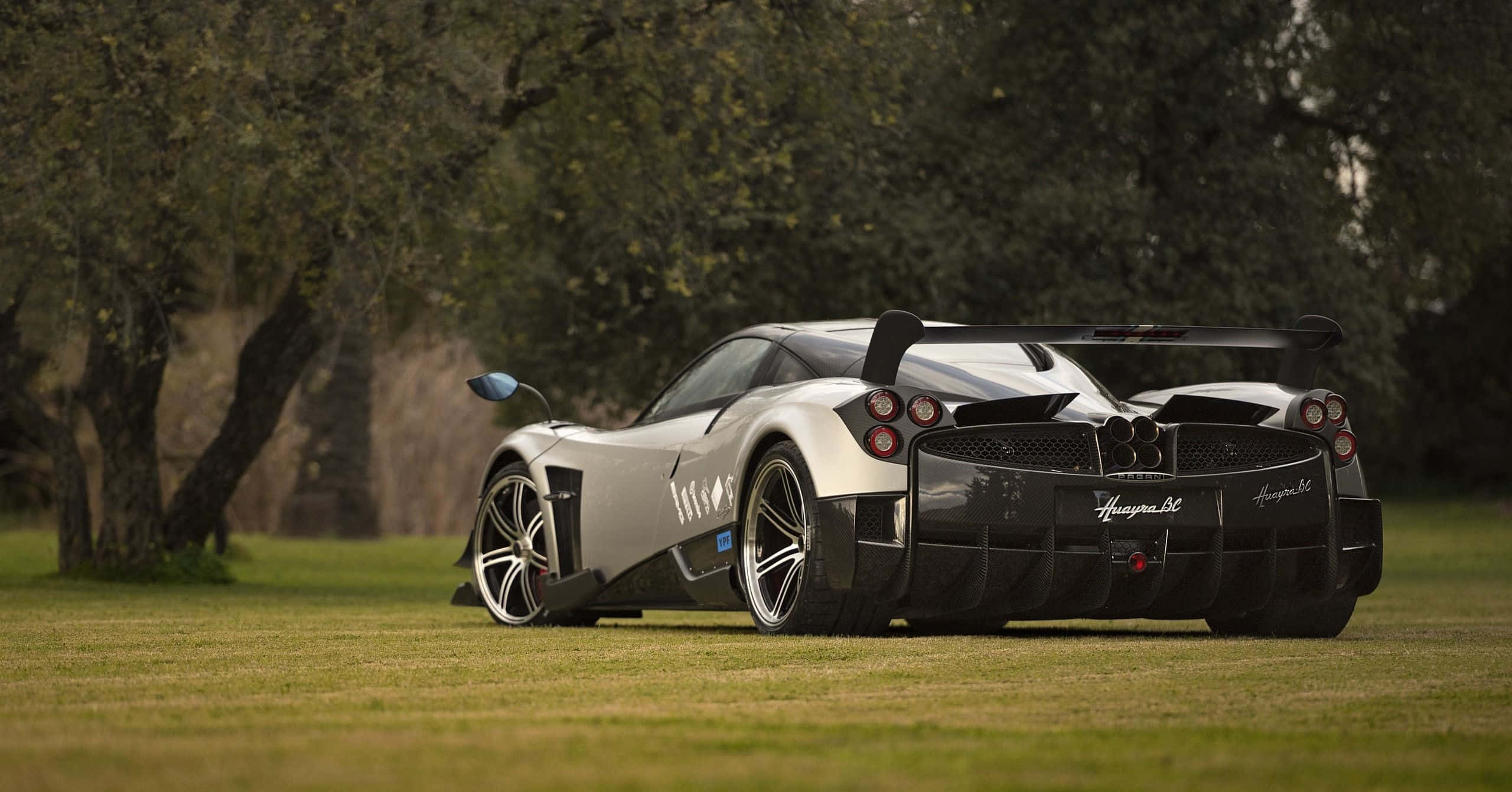 Pagani Huayra BC, silver, grassy field, 2K Desktop Wallpaper