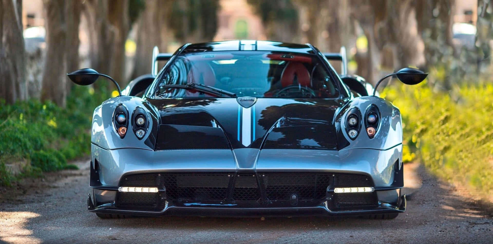 Pagani Huayra Roadster BC, silver, blue racing stripes, Full HD Desktop Wallpaper
