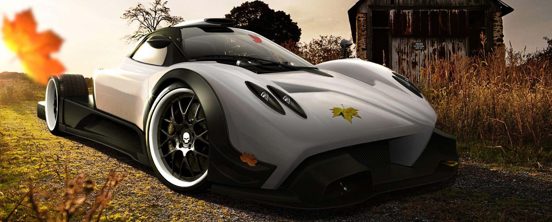 Pagani Zonda R, white and black, skull wheels, Full HD Desktop Wallpaper