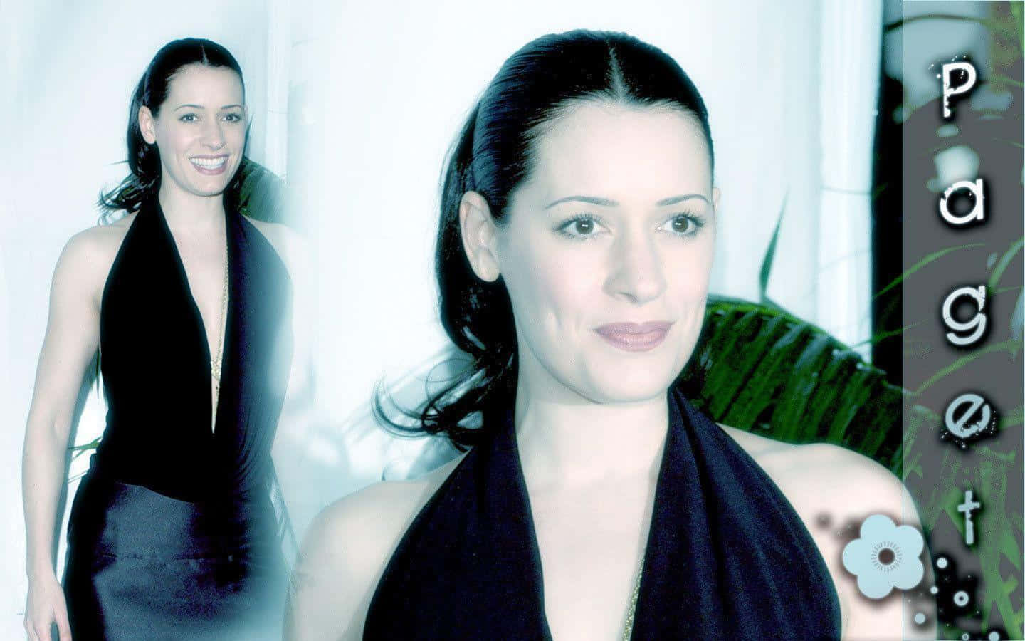 Paget Brewster, black halter dress, bright white background, HD Desktop Wallpaper