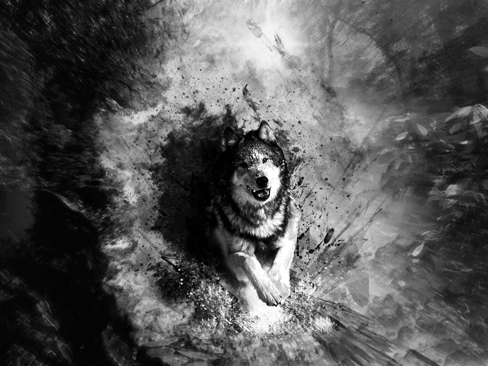 Pain Black And White, wolf, black and white ink splatter, HD Desktop Wallpaper