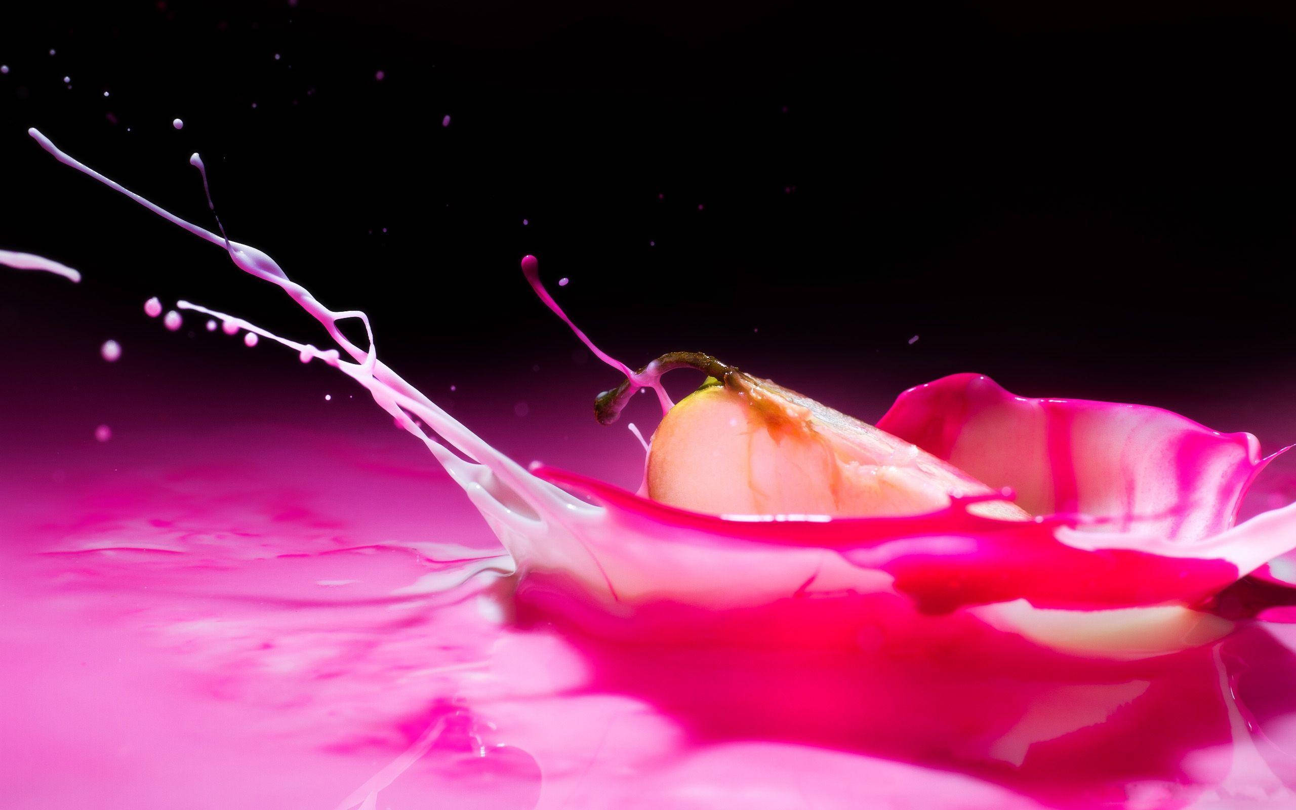 pink liquid splash, peach, petal, 2K Desktop Wallpaper