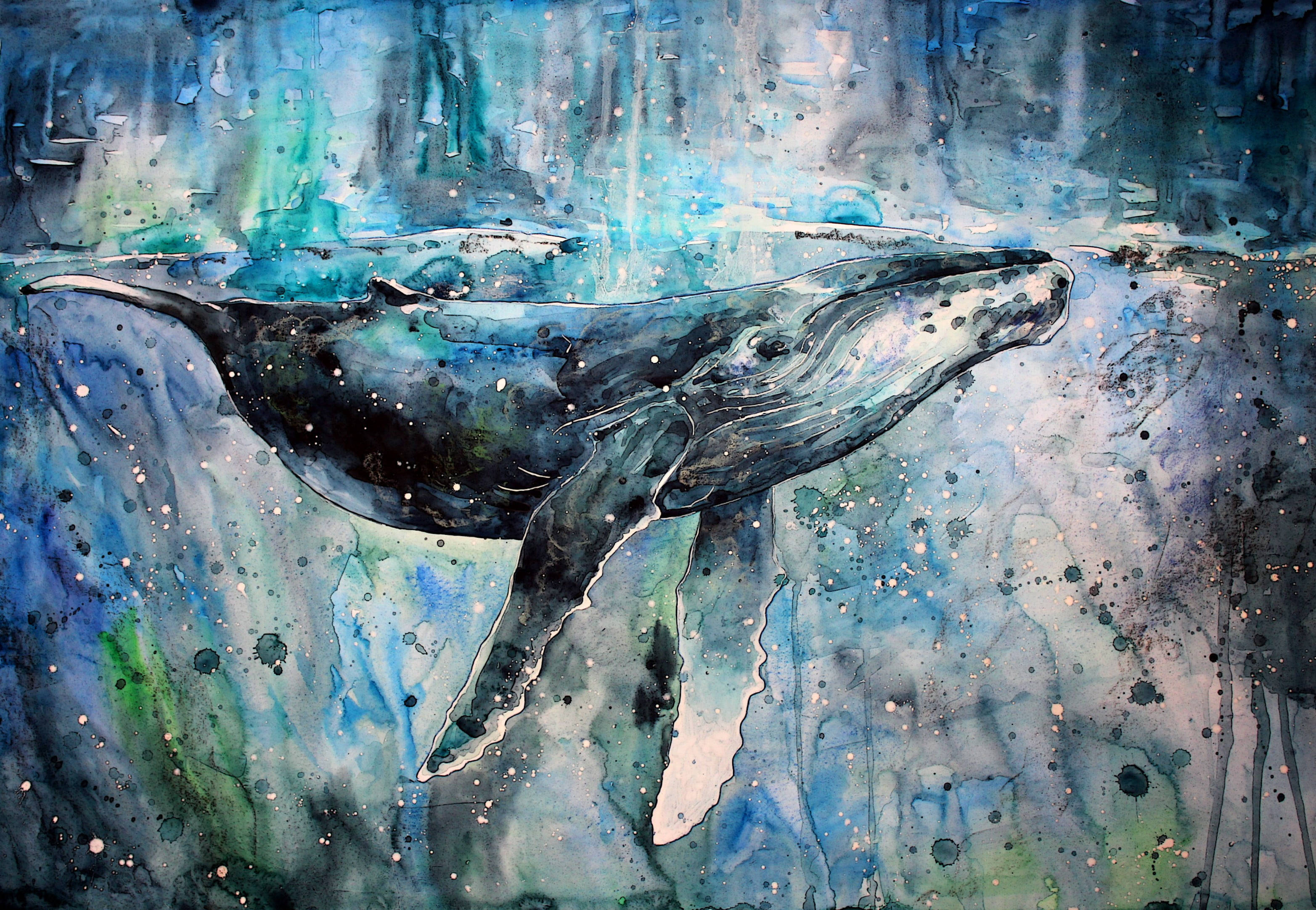 whale tail, humpback whale, vibrant blue-green, 2K Desktop Wallpaper