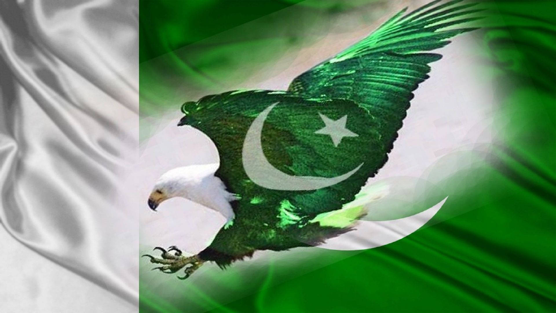 white-headed eagle, Pakistan flag, green and white flag, Full HD Desktop Wallpaper