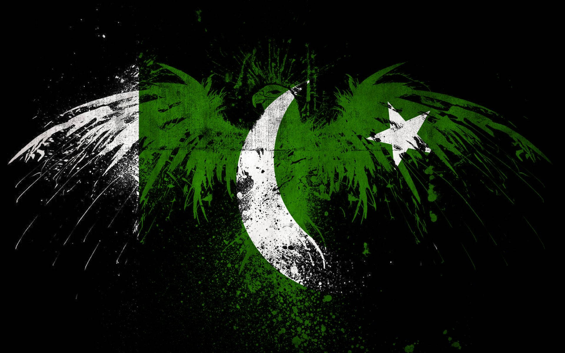Pakistan flag, crescent, star, Full HD Desktop Wallpaper