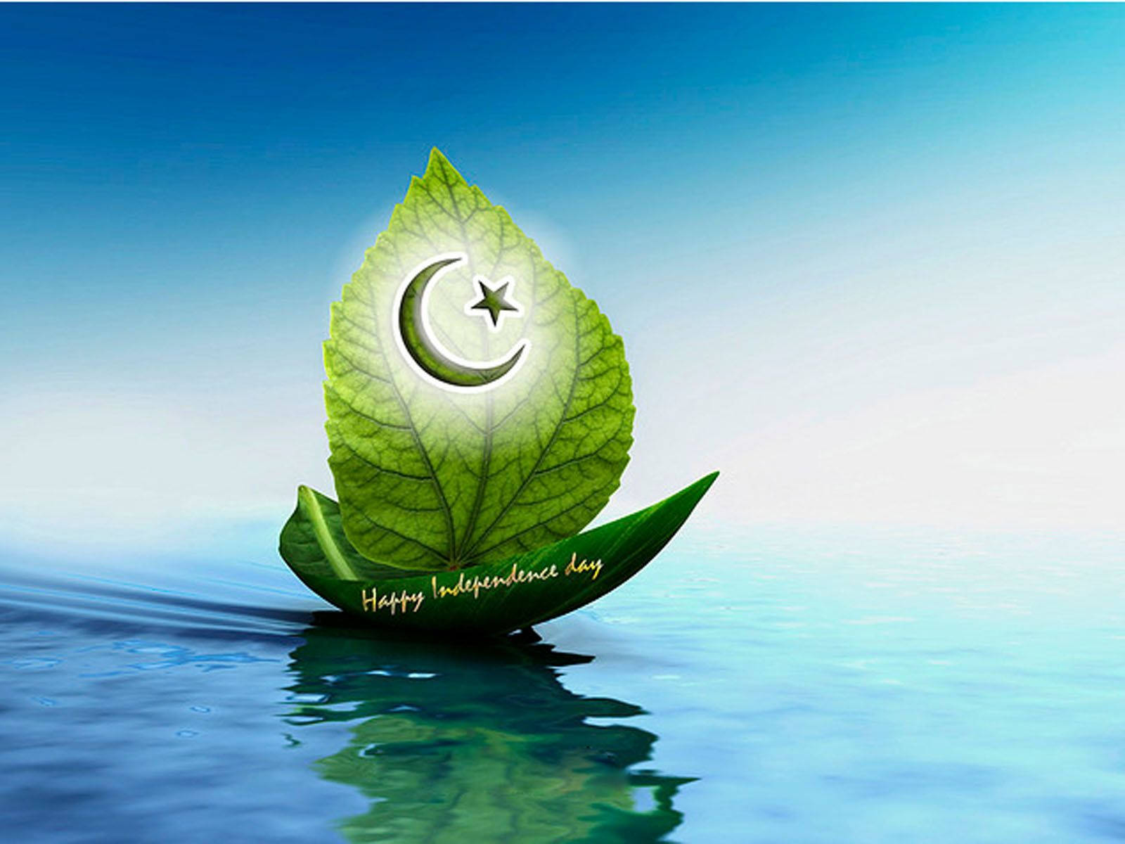 Pakistan flag, green leaf, crescent moon, HD Desktop Wallpaper