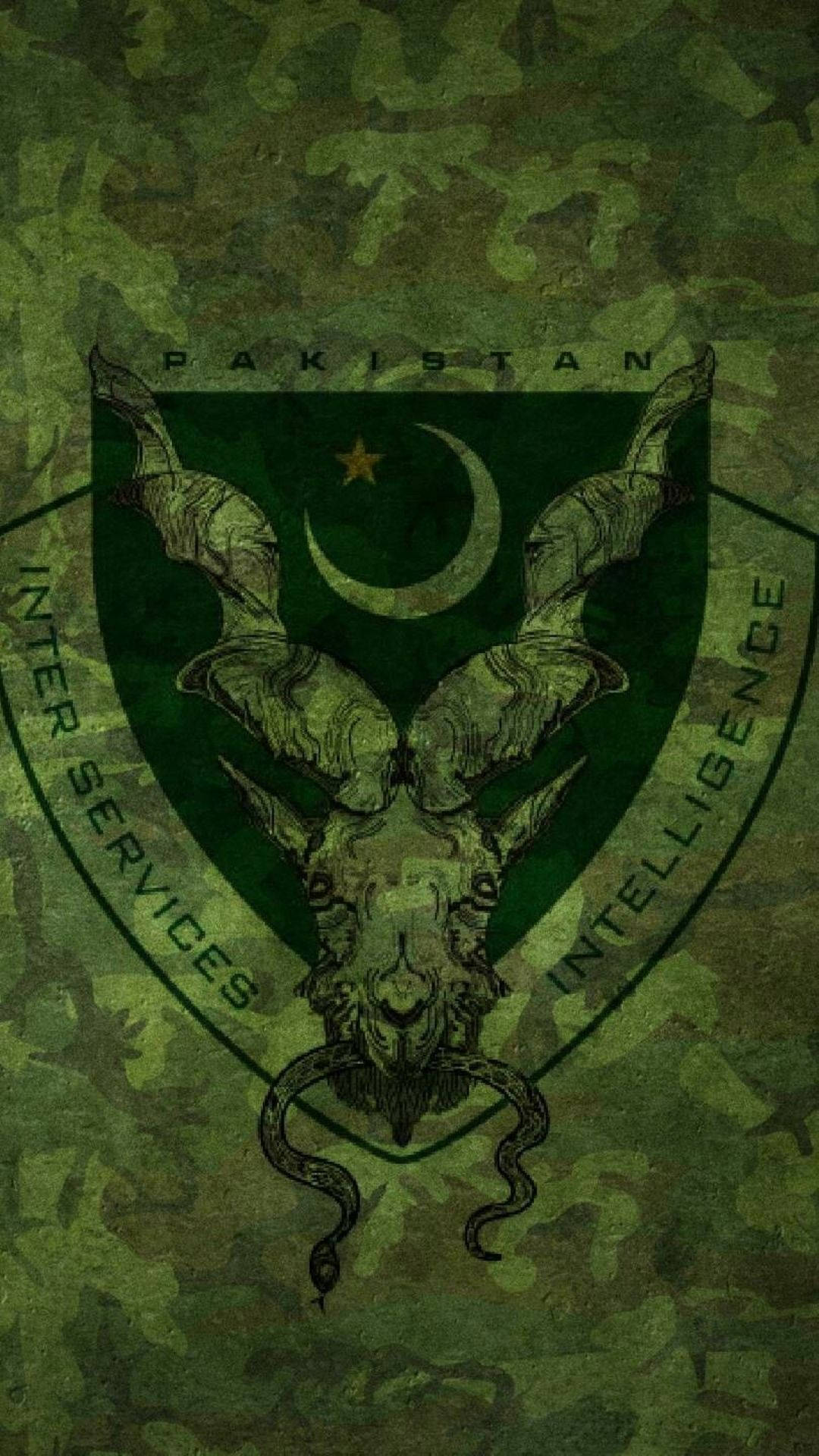 Pakistan Team Logo, goat-headed emblem, crescent and star, Full HD Phone Wallpaper