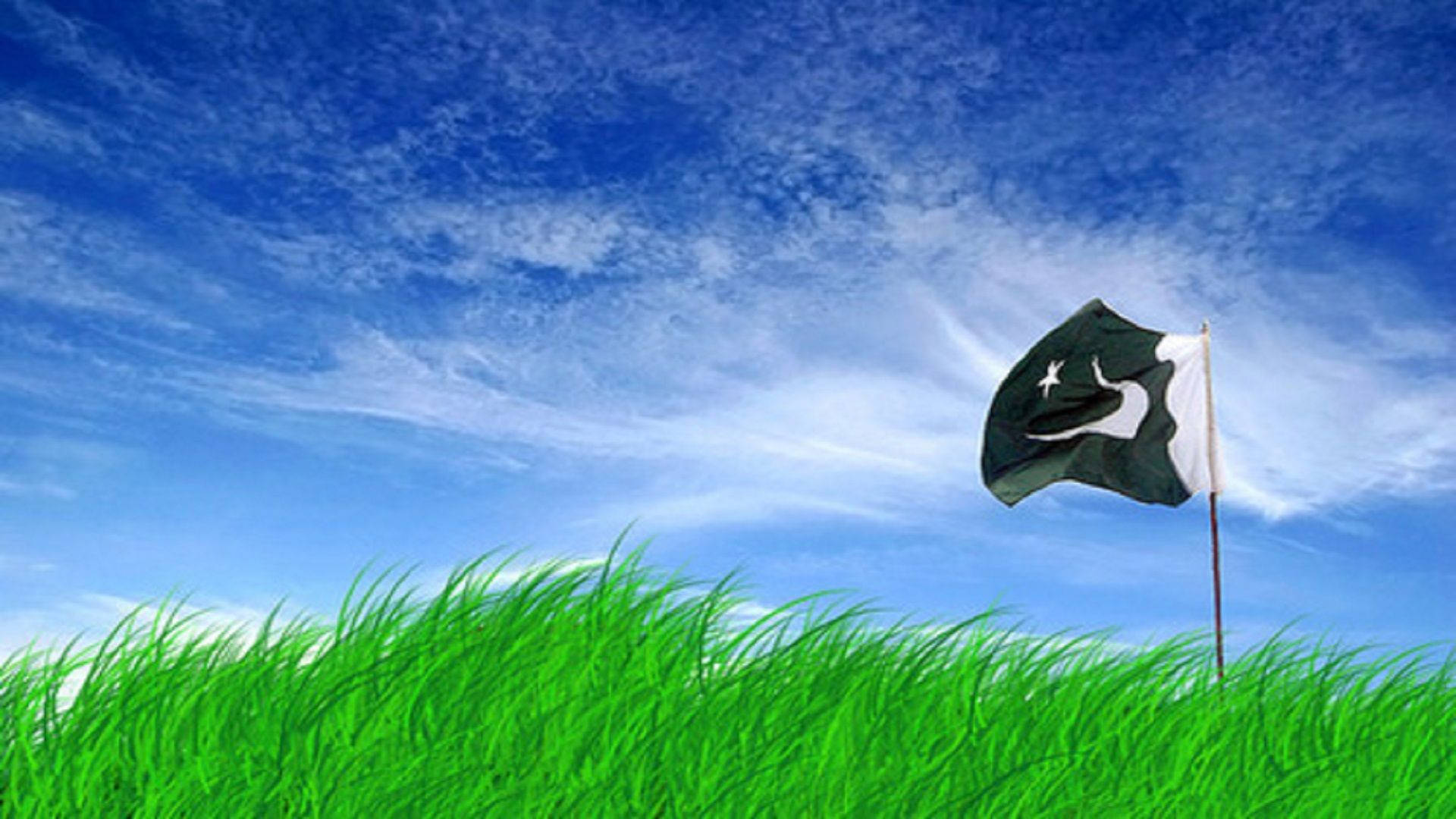 Pakistan flag, grassy field, lush green hill, Full HD Desktop Wallpaper