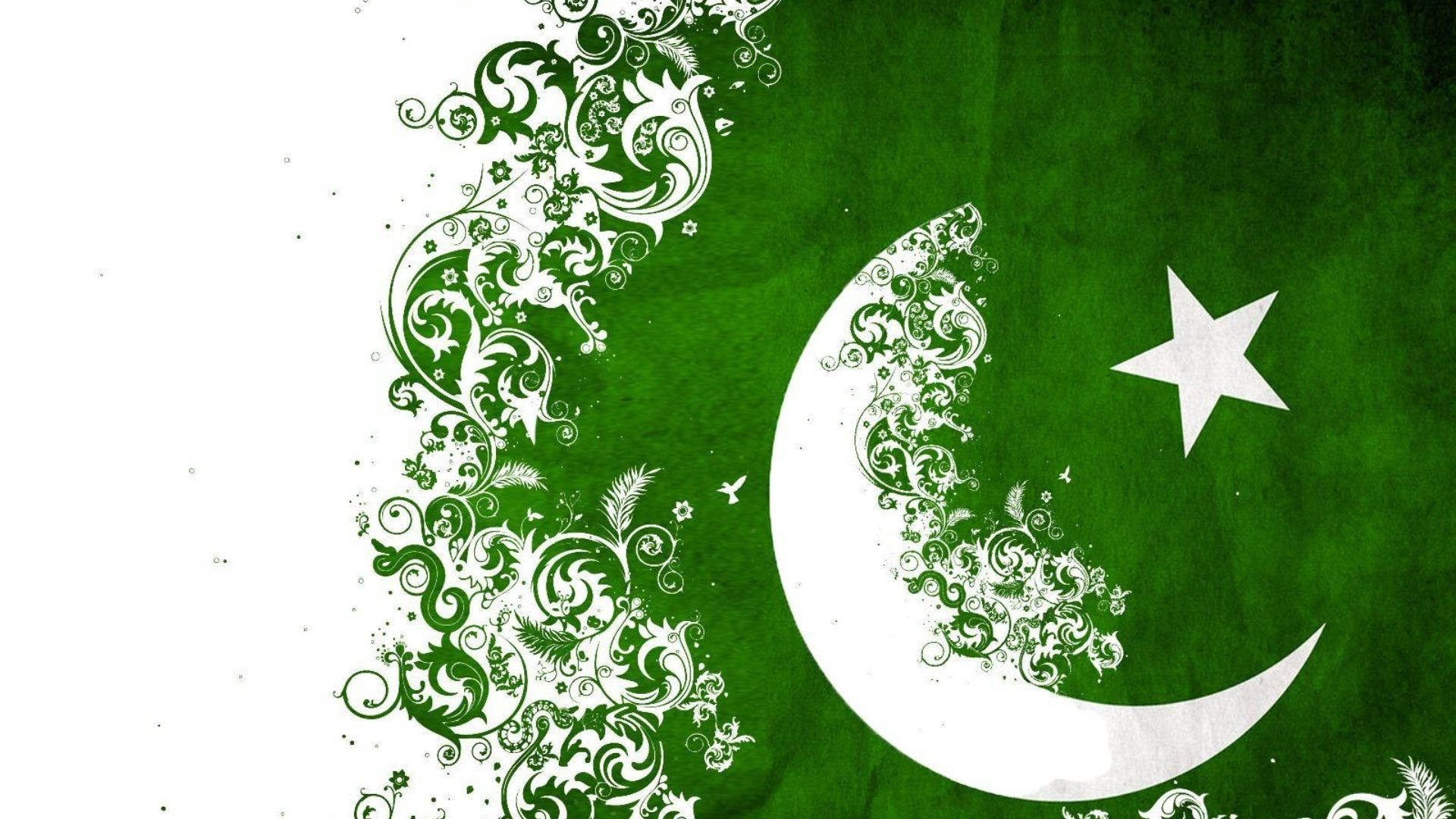 Pakistan, green textured flag, white crescent moon, Full HD Desktop Wallpaper
