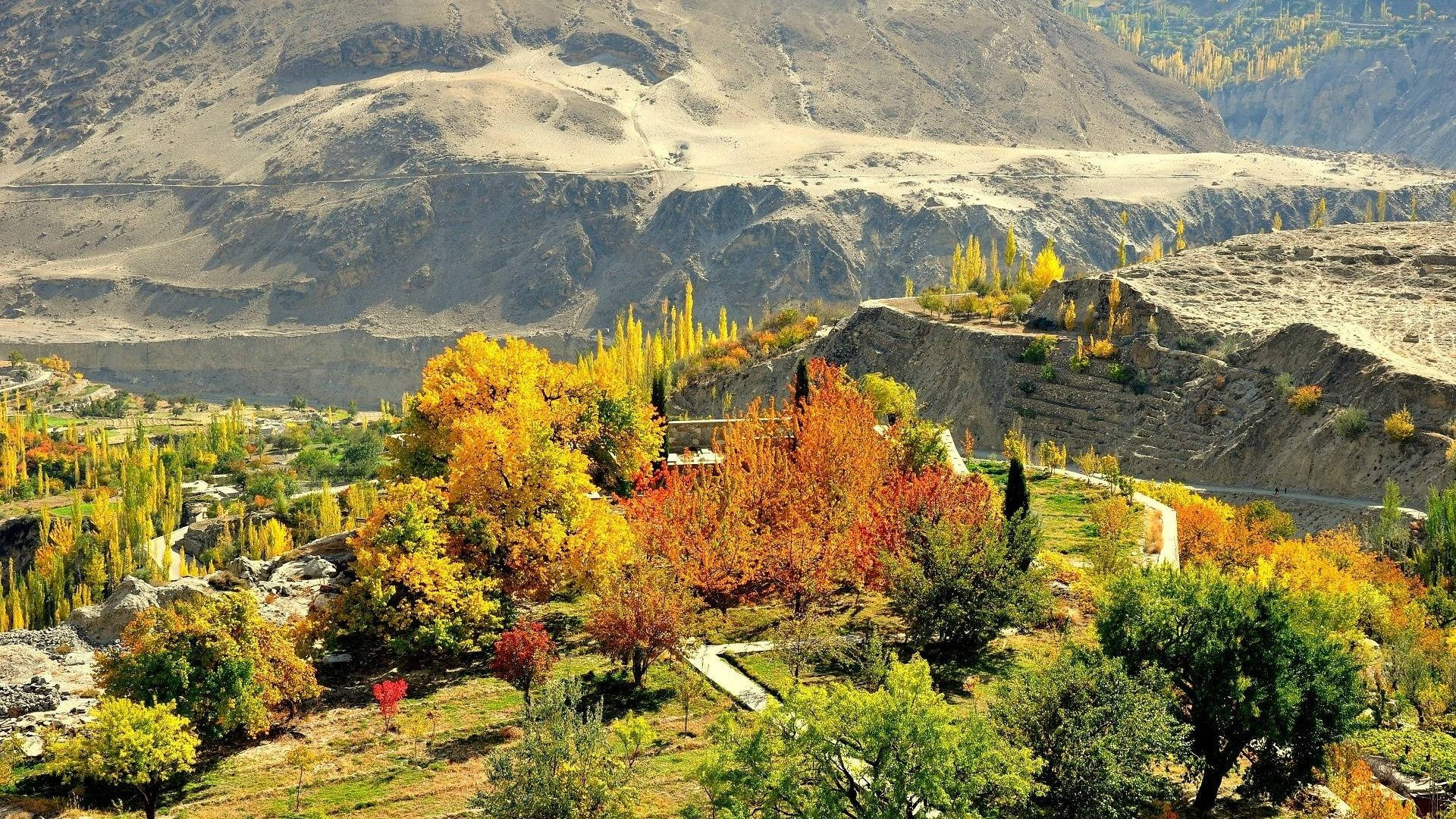 Pakistan, autumn trees, golden orange, Full HD Desktop Wallpaper