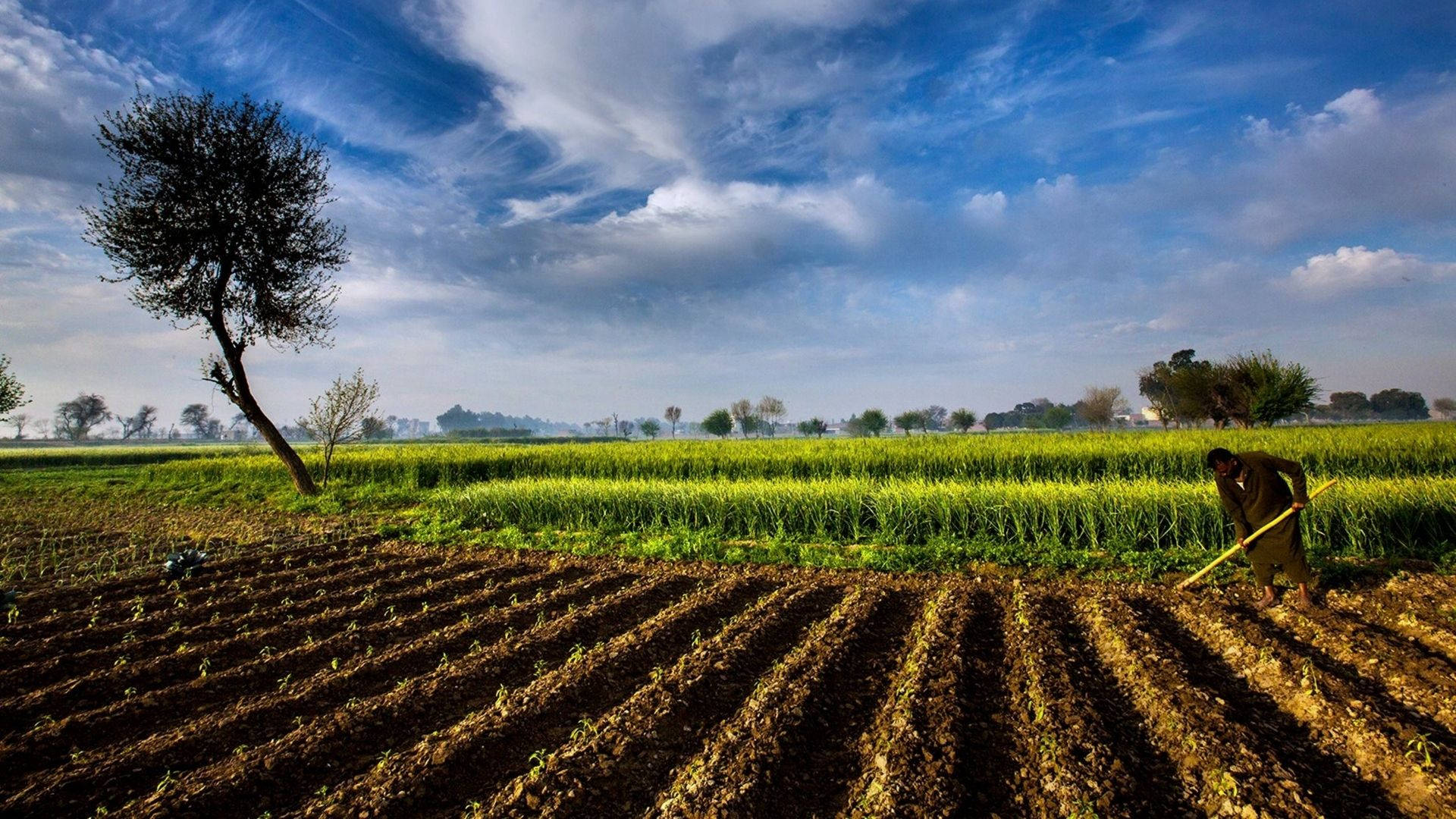 Pakistan, farmer, tilled earth, Full HD Desktop Wallpaper