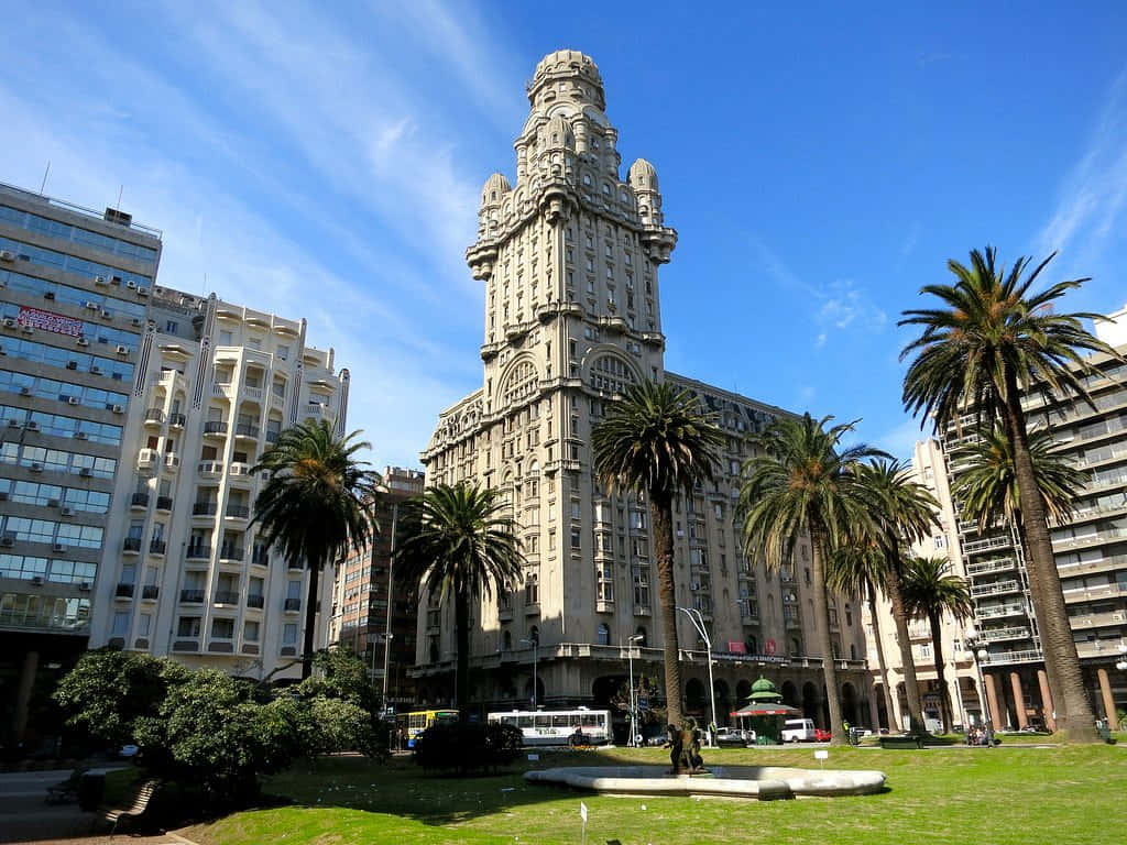 Palacio Salvo, palm trees, modern skyscrapers, SD Desktop Wallpaper