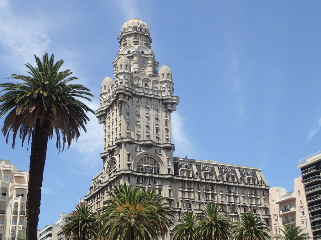 Palacio Salvo, palm tree, clear blue sky, SD Desktop Wallpaper