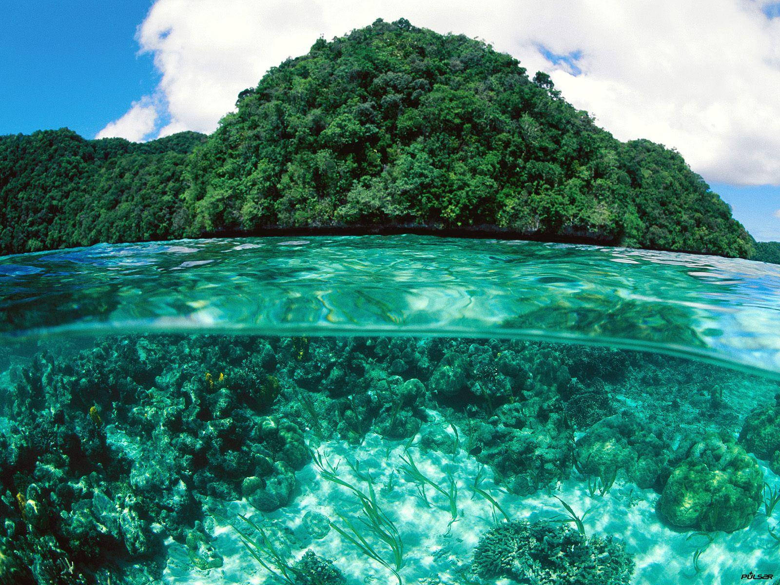 Palau, coral reef, lush green island, HD Desktop Wallpaper