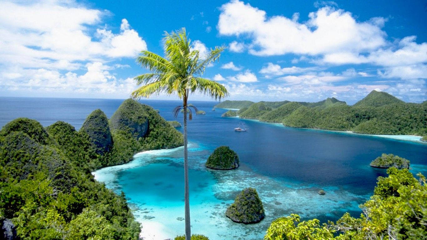 Palau, palm tree, rock islands, HD Desktop Wallpaper